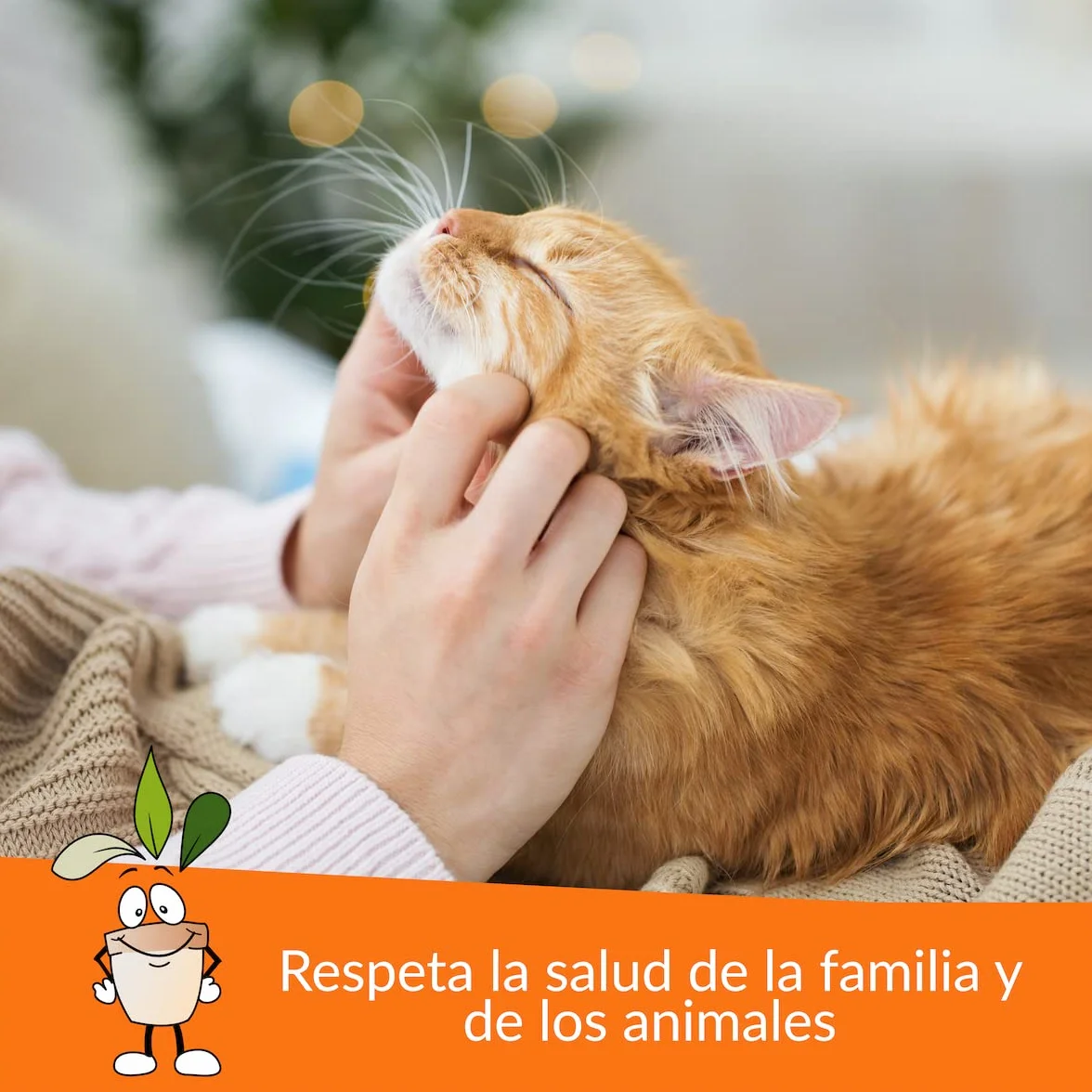 CLOSTER STOPPEE - Disuasivo para Gatos 750 ML - Spray disuasivo para Gatos de Base Vegetal de tomillo - Disuasivo para Gatos para Interiores y Exteriores - disuasivo para Gatos Producto 100% Natural