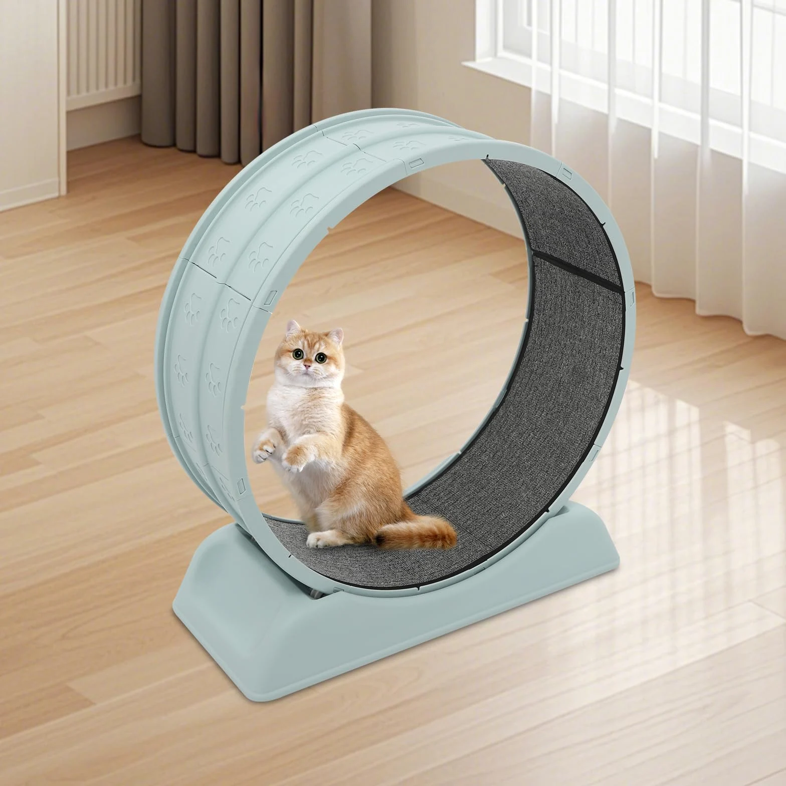 Rueda para gatos de 80 cm de diámetro, capacidad de carga de 10 kg, silenciosa con hebilla de seguridad, bicicleta de entrenamiento para gatos de interior con alfombra y varilla de juego