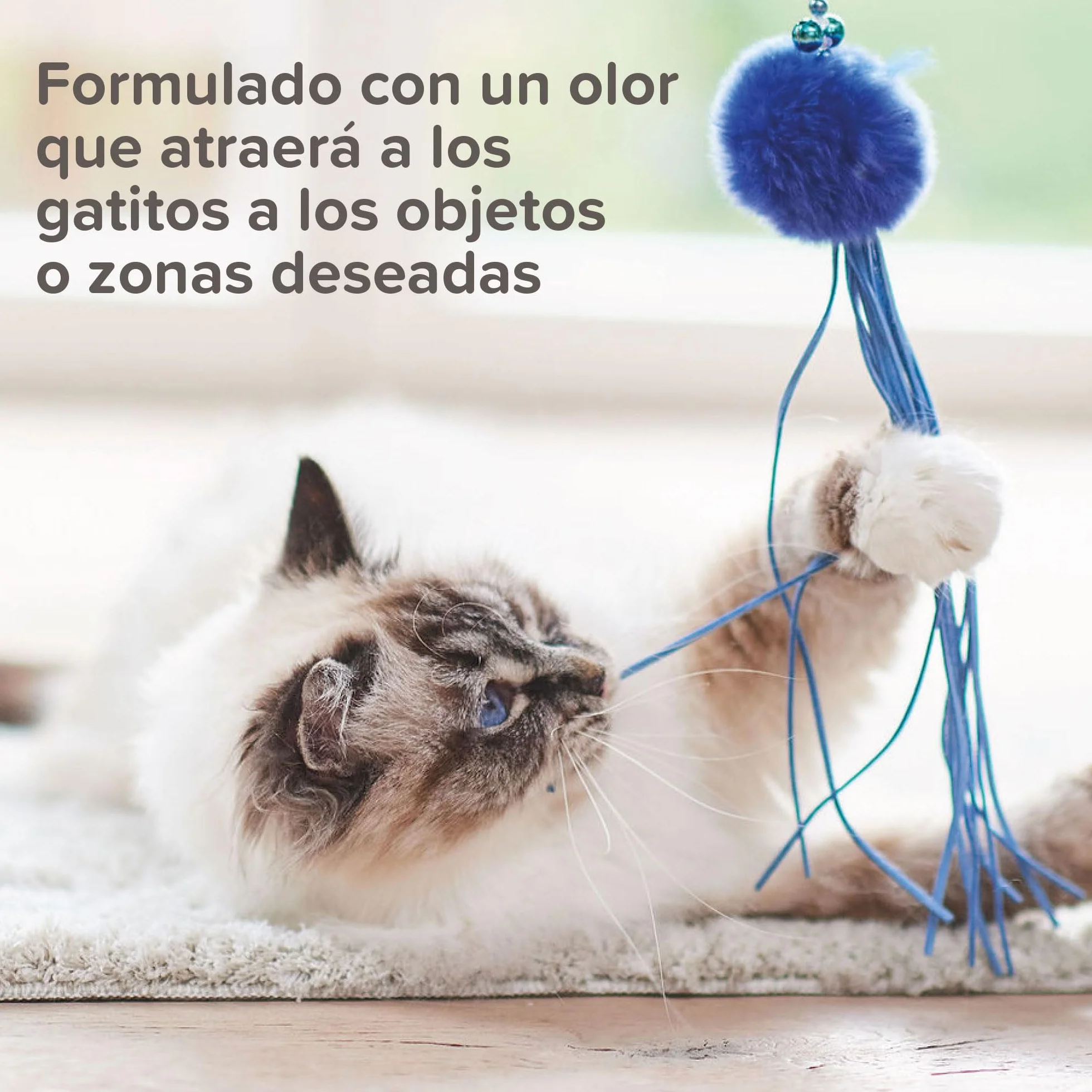 Beaphar - Cat Trainer Educador para Gatos - con sustancias atrayentes - Hace Atractivos los Juguetes y los rascadores - Ideal para el adiestramiento - 10ml