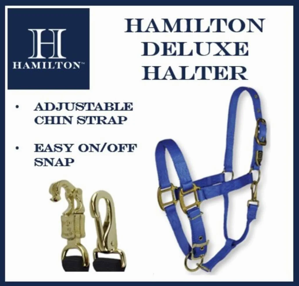 Hamilton Cabestro de Nailon de 1 Pulgada con mentón Ajustable, MRC101, Azul Berry, 1"
