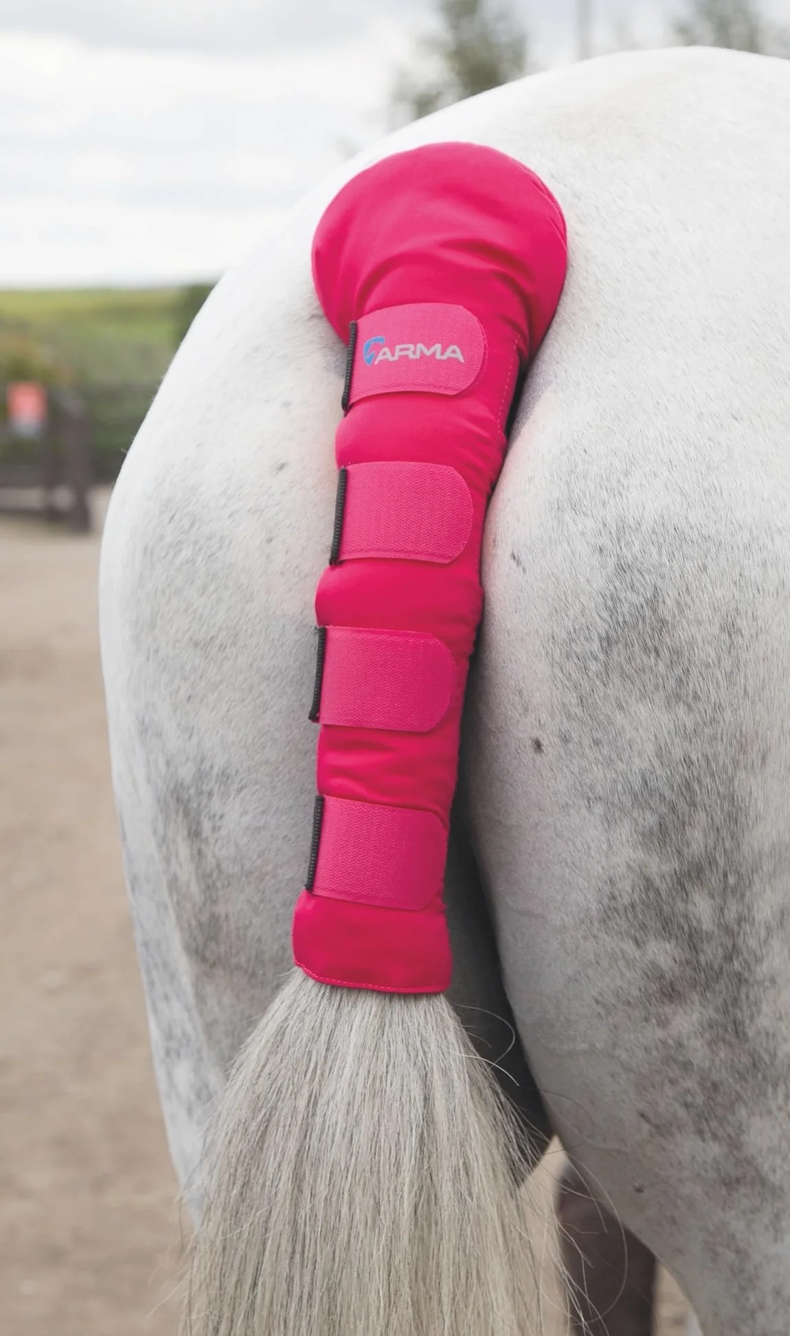 Shires - Protector acolchado para cola de caballo, rosa, talla única