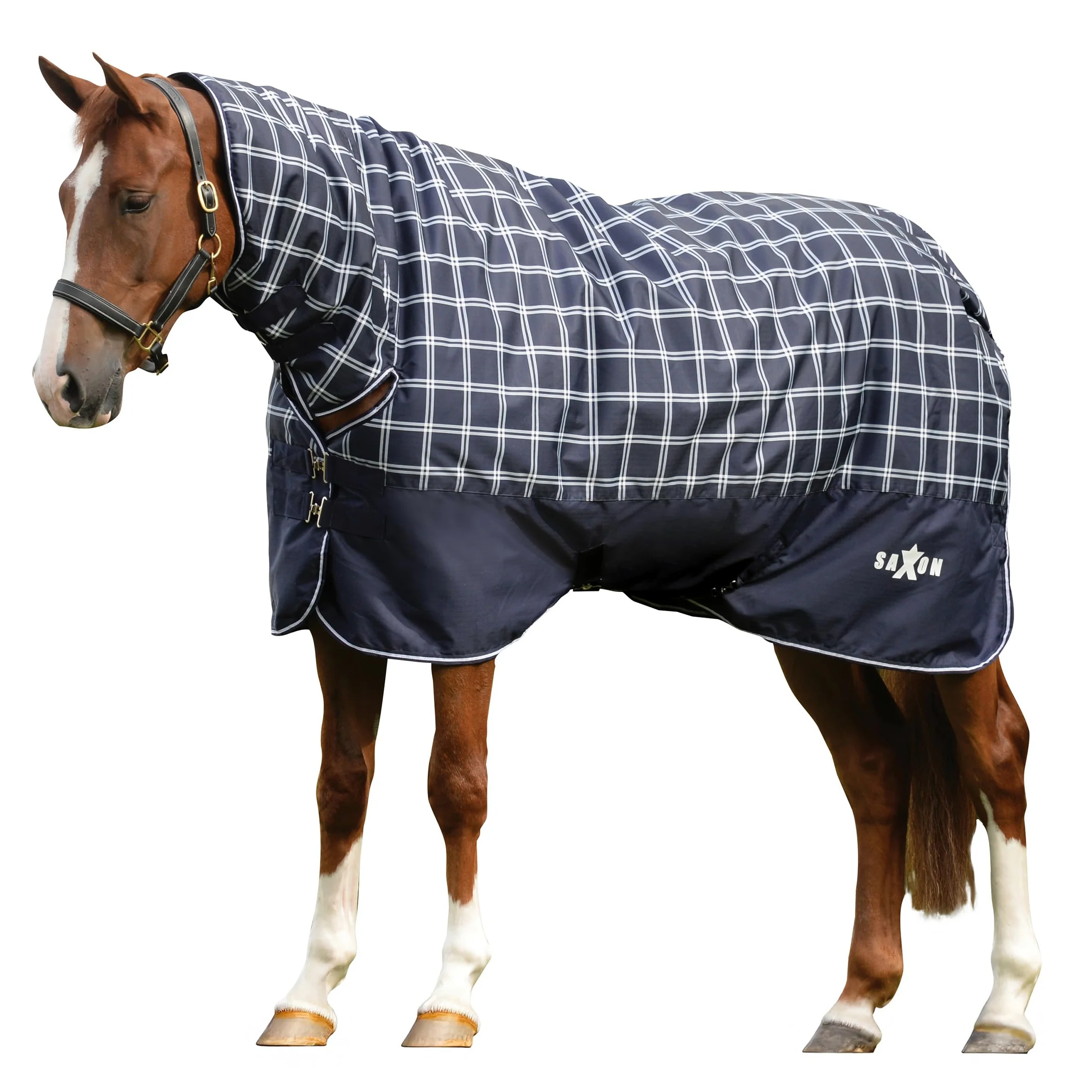 Saxon Defiant 600D Combo impermeable medio de participación azul marino/cuadros 6 pies 6 pulgadas