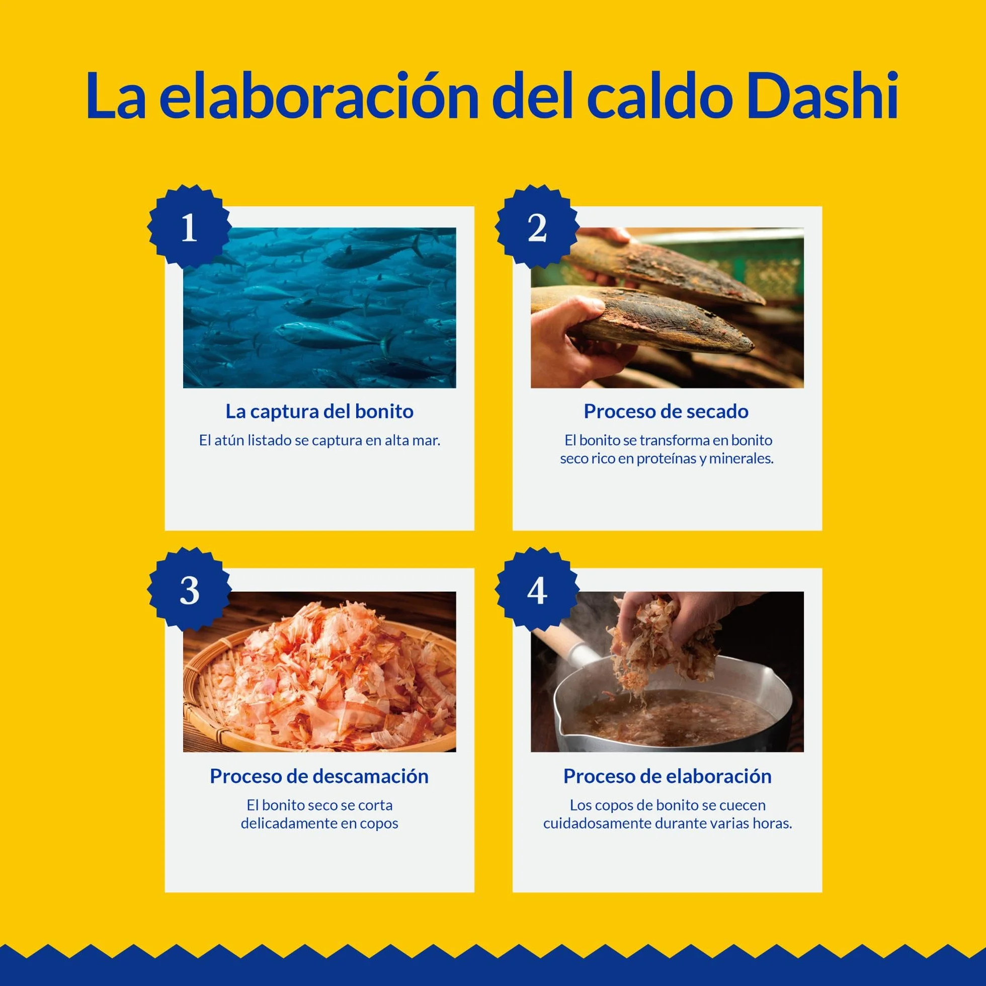 INABA Dashi Delights - Trozos en un Caldo de Copos de Bonito con Pollo - Topping - Alto Contenido en proteínas - Ingredientes Naturales - Comida para Gatos - 70 g