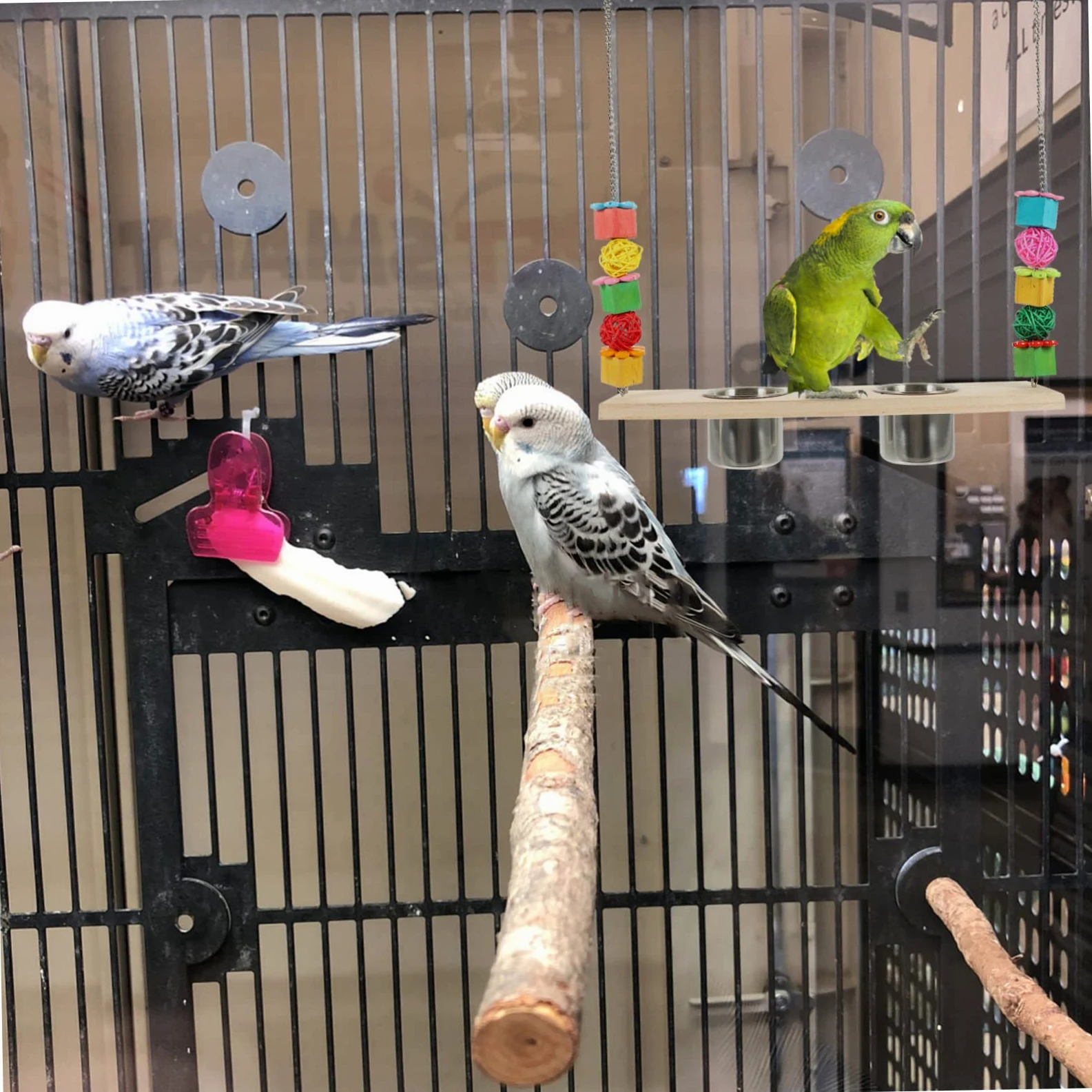 minkissy 5 piezas de juguete de búsqueda de loro, perca de pollito, columpio de loro con taza de comida, juguete de mordida de loro, juguetes de pájaros para cacatúas, perchas, juguete de loro,