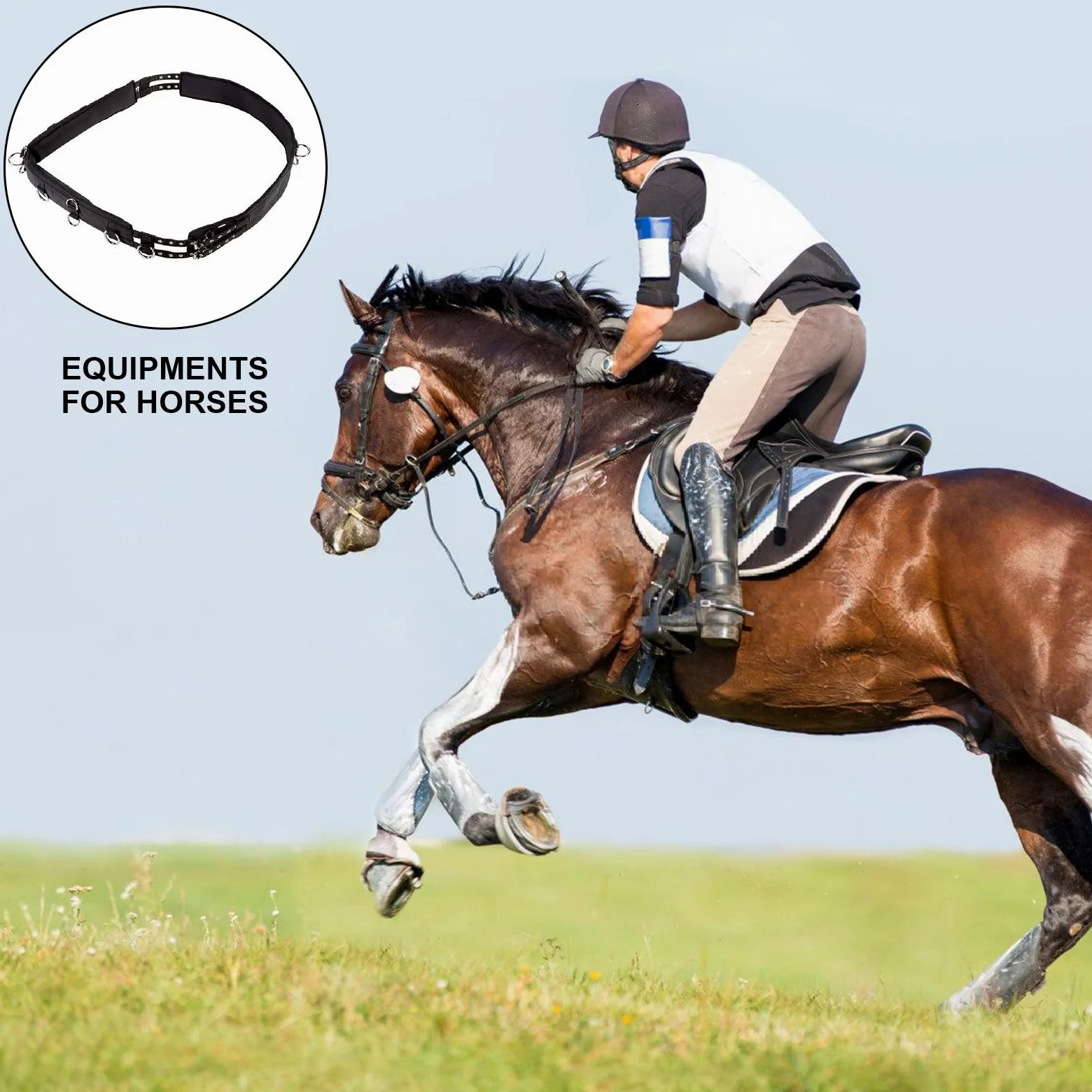 Cinturón abdominal para entrenamiento de caballos, arnés multifuncional, equipo de equitación, cinturón abdominal