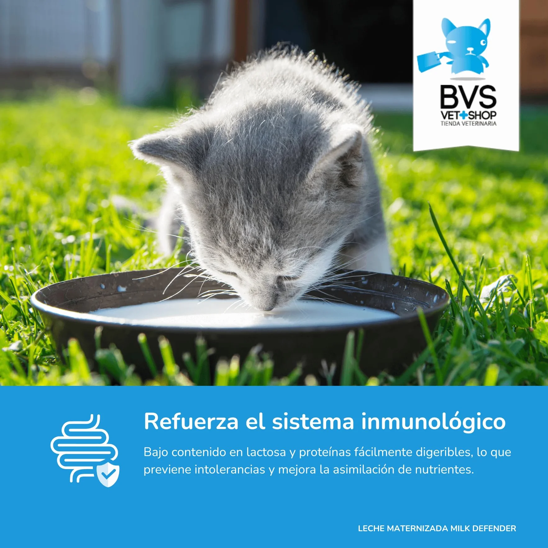 BVS Vet Shop | Leche Maternizada para Gatos Milk Defender | Alimento Completo de Lactancia para el Cuidado Integral de Gatos Cachorros | 1 unid. x 140 gr
