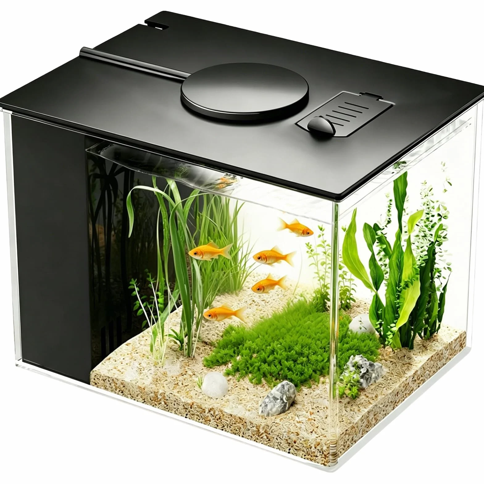 Mini acuario acrílico de 3,7 l con bomba de filtro, iluminación LED, pequeño acuario Betta, juego completo para peces pequeños, gambas y plantas (negro)