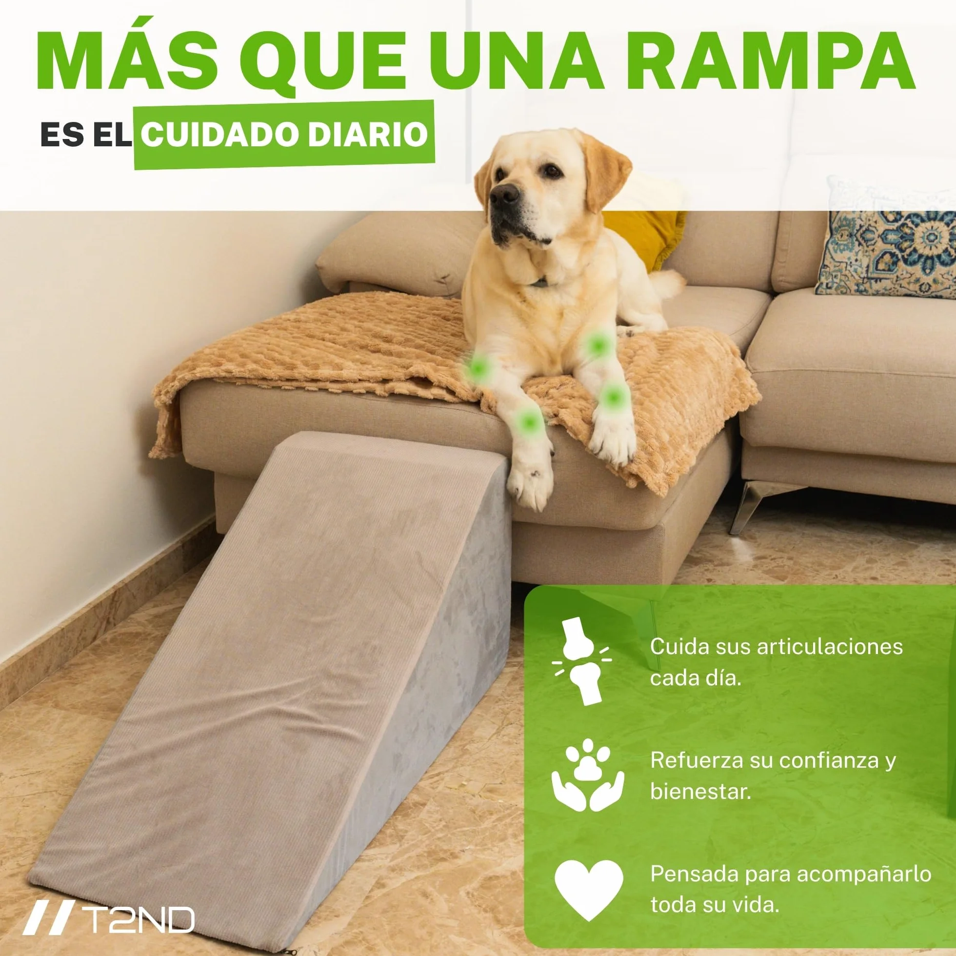 Rampa para Perros Sofá y Cama, Escalera para Perros Pequeños y Grandes, Escalera para Mascotas, Funda Extraíble y Lavable, Base Antideslizante, 40 cm de Alto