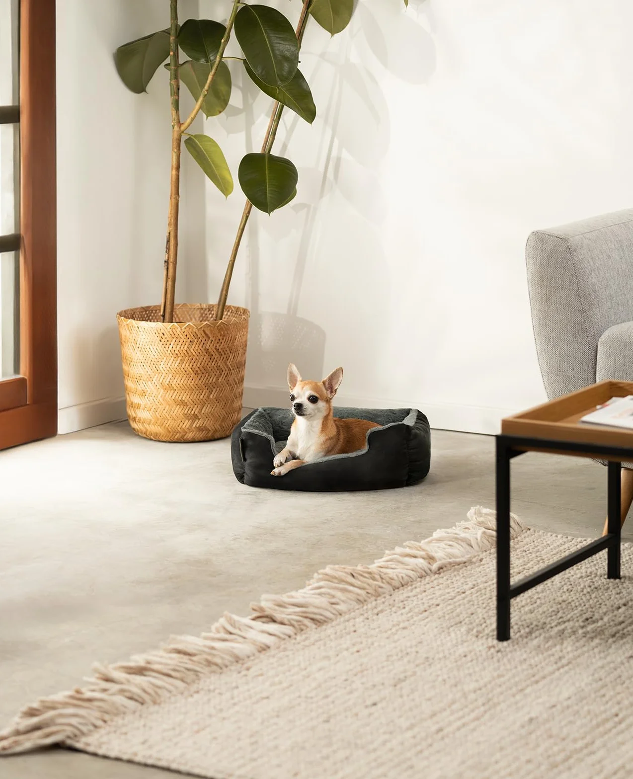 lionto Cama perros cojín perros cesta perros con cojín tamaño (S) 50x37 cm gris/negro