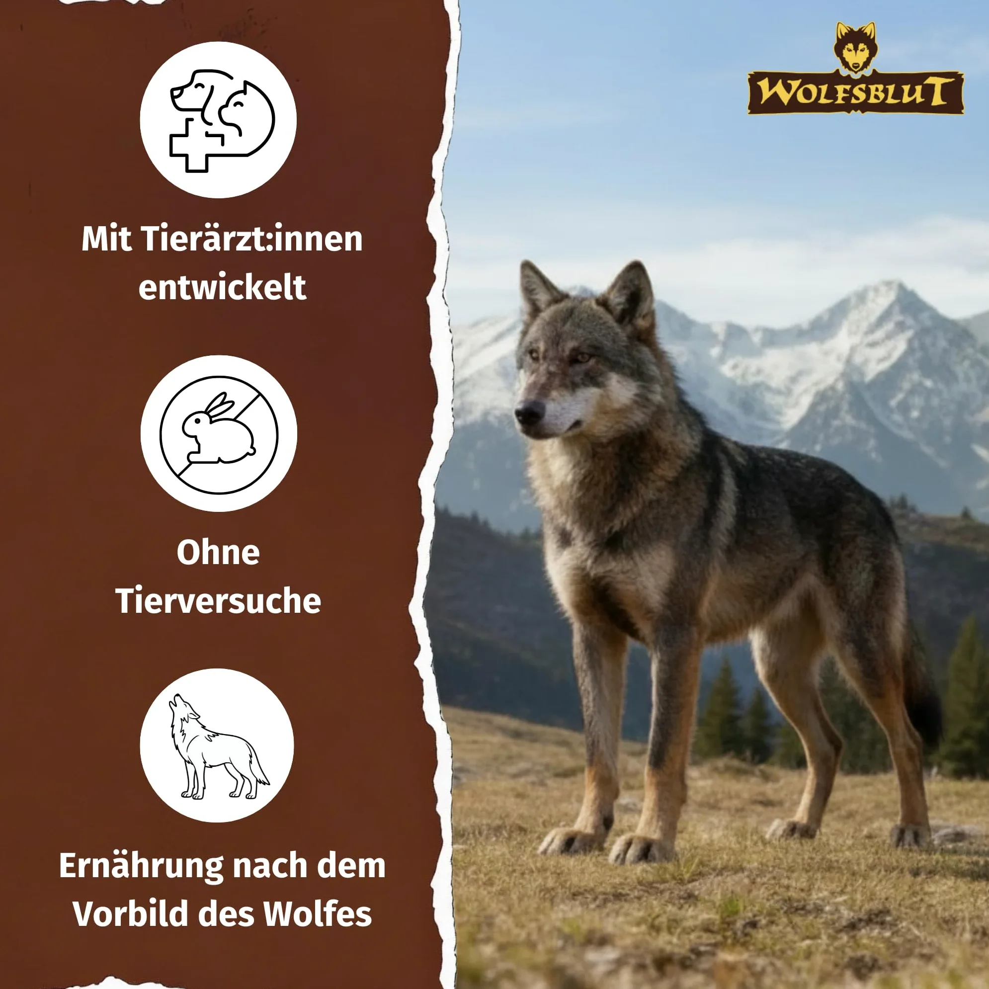 Wolfsblut Black Bird Alimento para Perros Adultos 12,5 kg