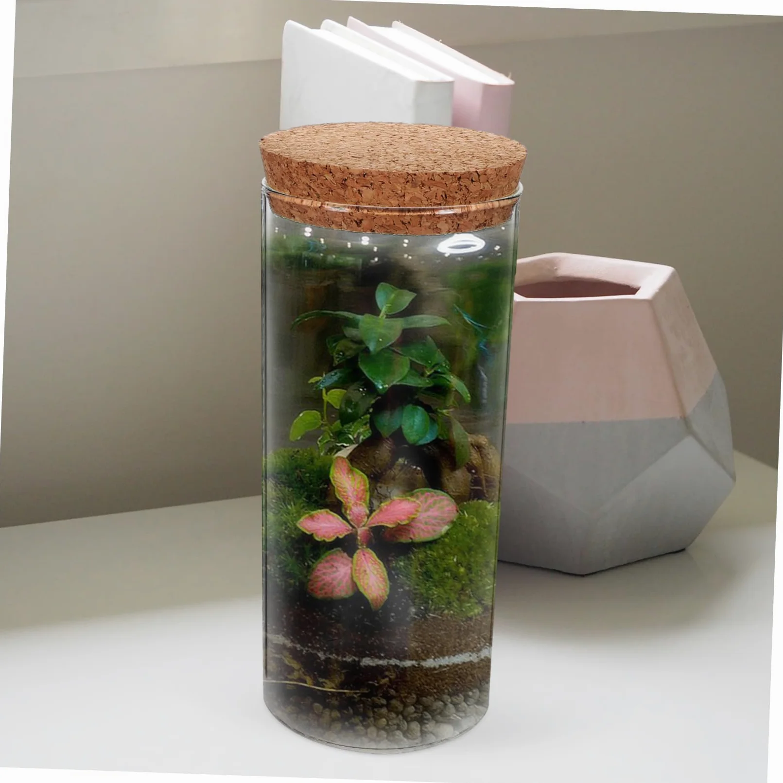 BESPORTBLE 5 Piezas Botella ecologica contenedor de Micro paisajismo Decorativo Terrario de Planta de Aire Botella Multiusos Terrarium Botella Transparente terrario de Cristal con Tapa Vidrio