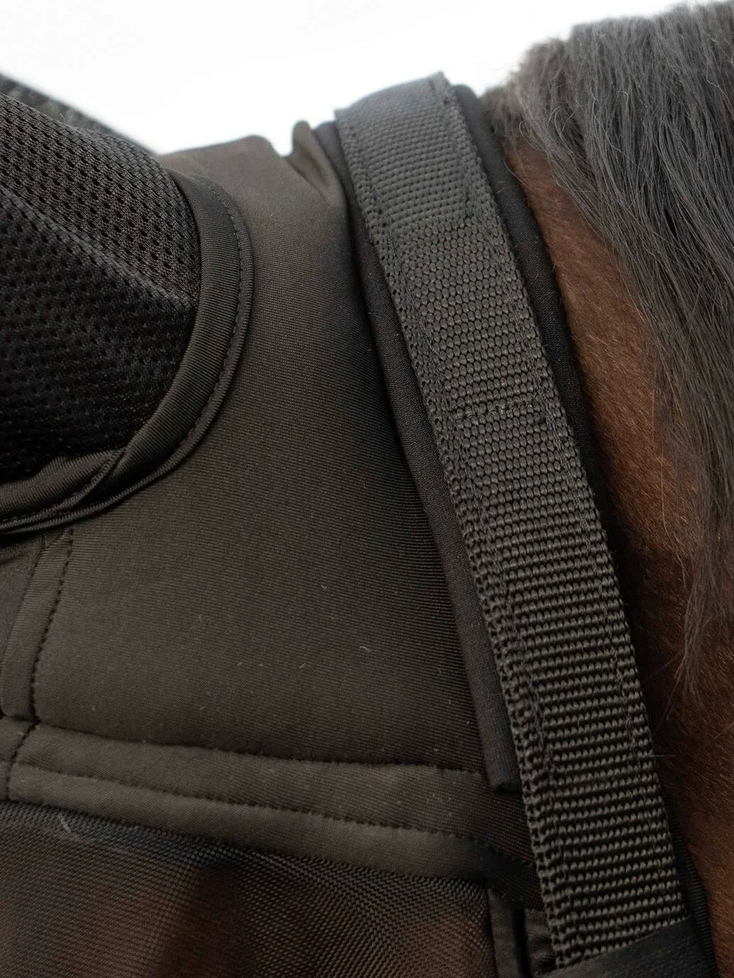 Busse Fast - Mosquitera, Unisex adulto, Pony, negro