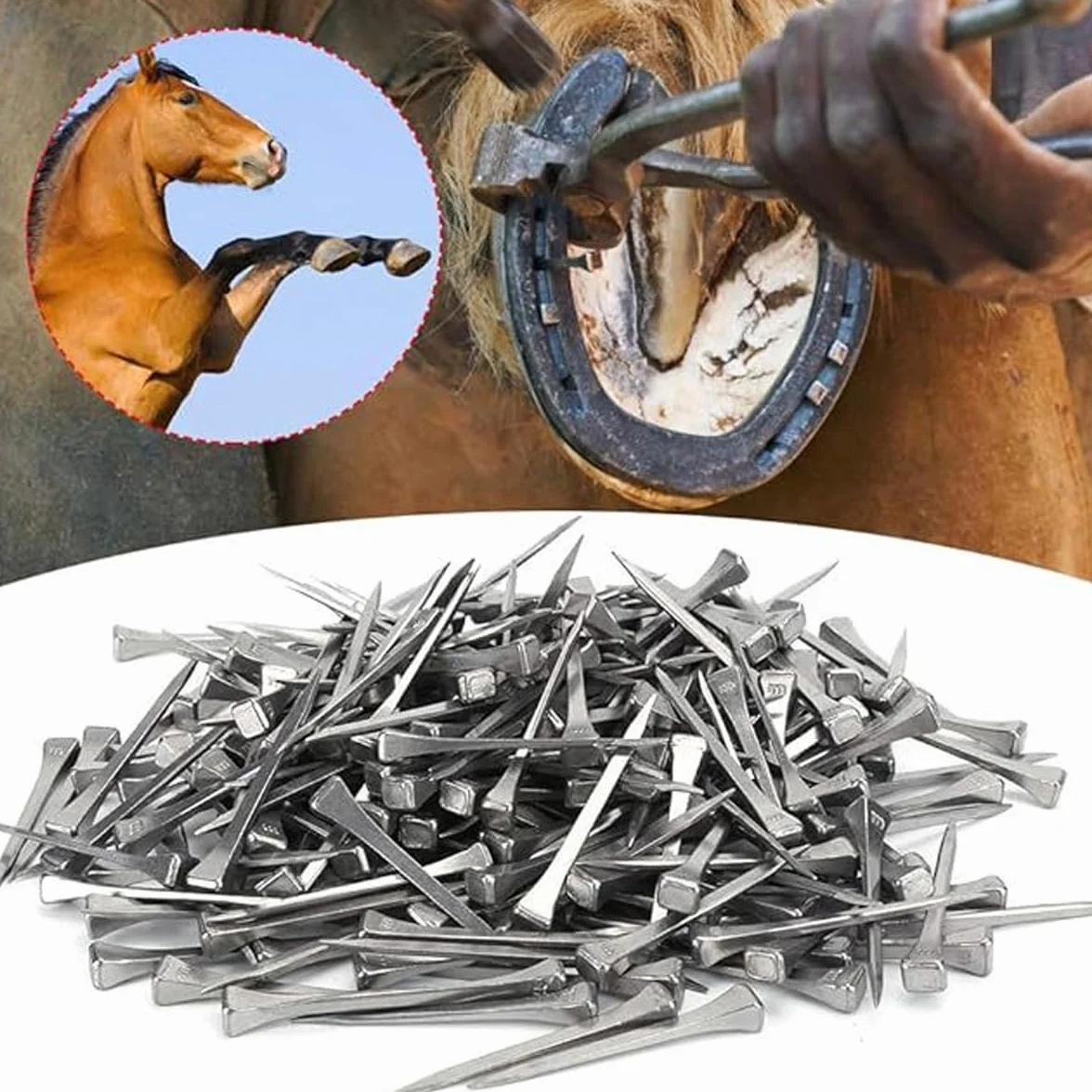 100 clavos para cascos de caballo E2 de 41 mm, de acero dulce, para carreras y deportes ecuestres.