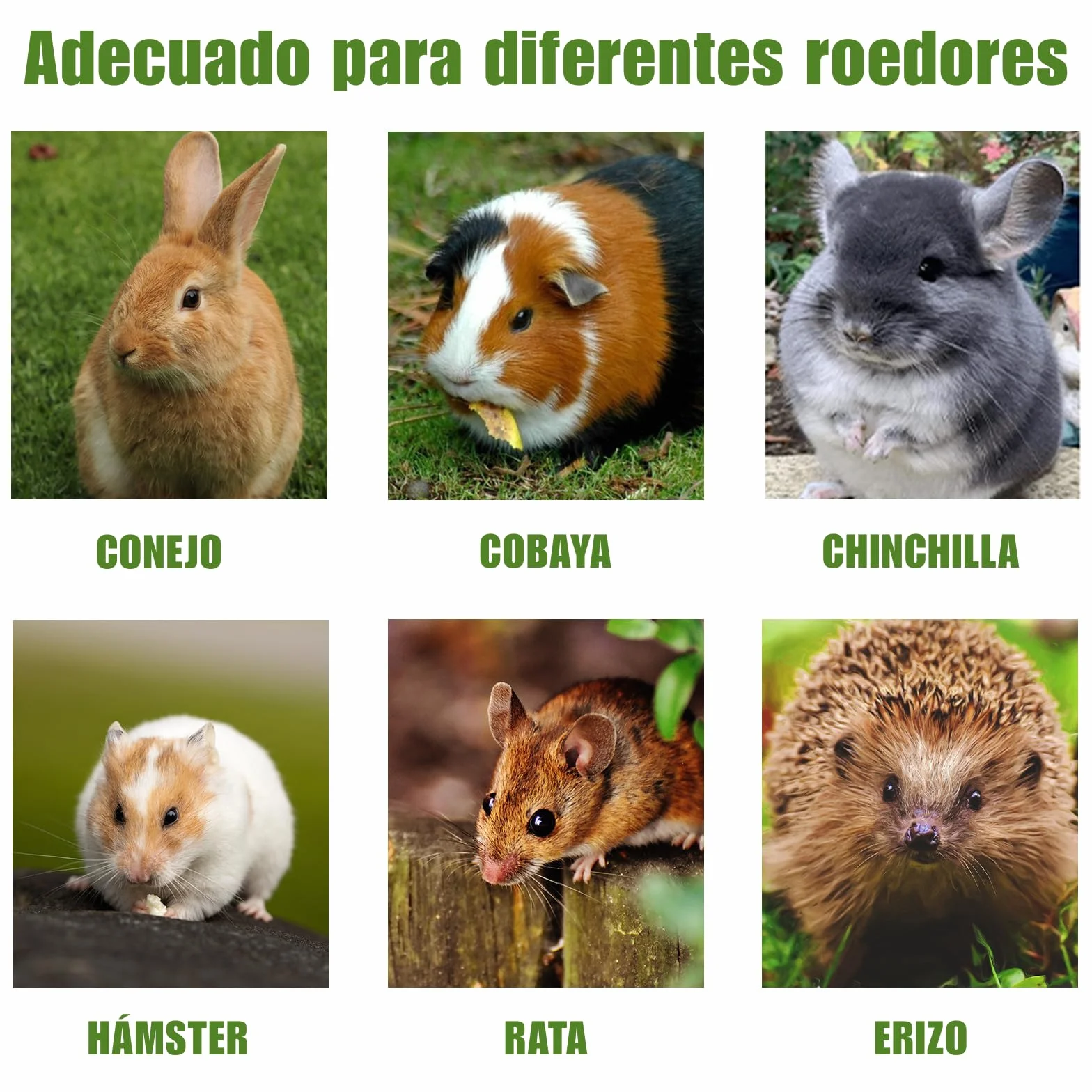 Juguetes Masticar para Conejos, Palitos de Heno Timothy para Conejos, Cobayas, Hámsters, Chinchillas (20 Unidad)