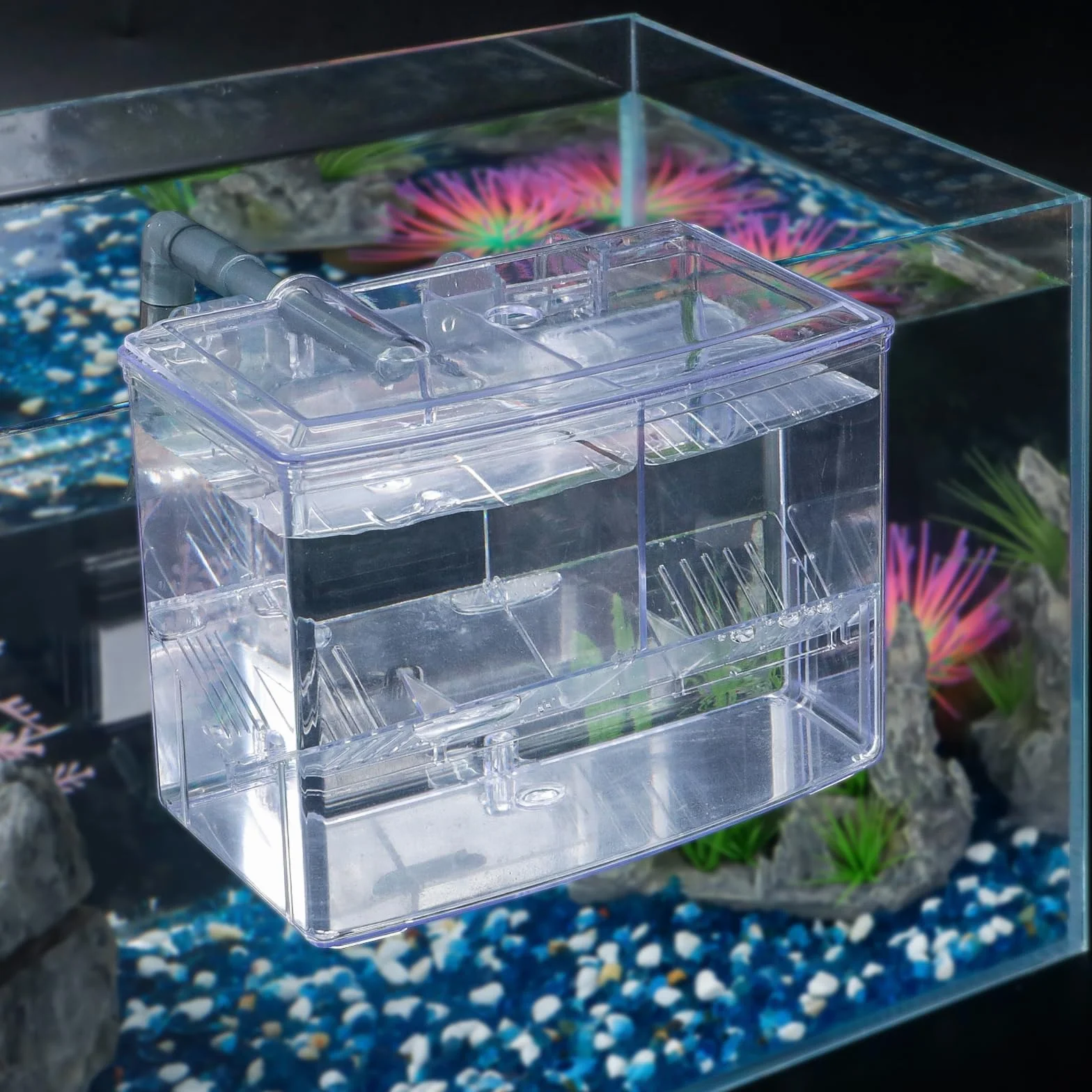 Pawfly Incubadora de Peces acrílico, criadero para alevines, camarones, Betta, pez Payaso, Caja de Aislamiento para Peces
