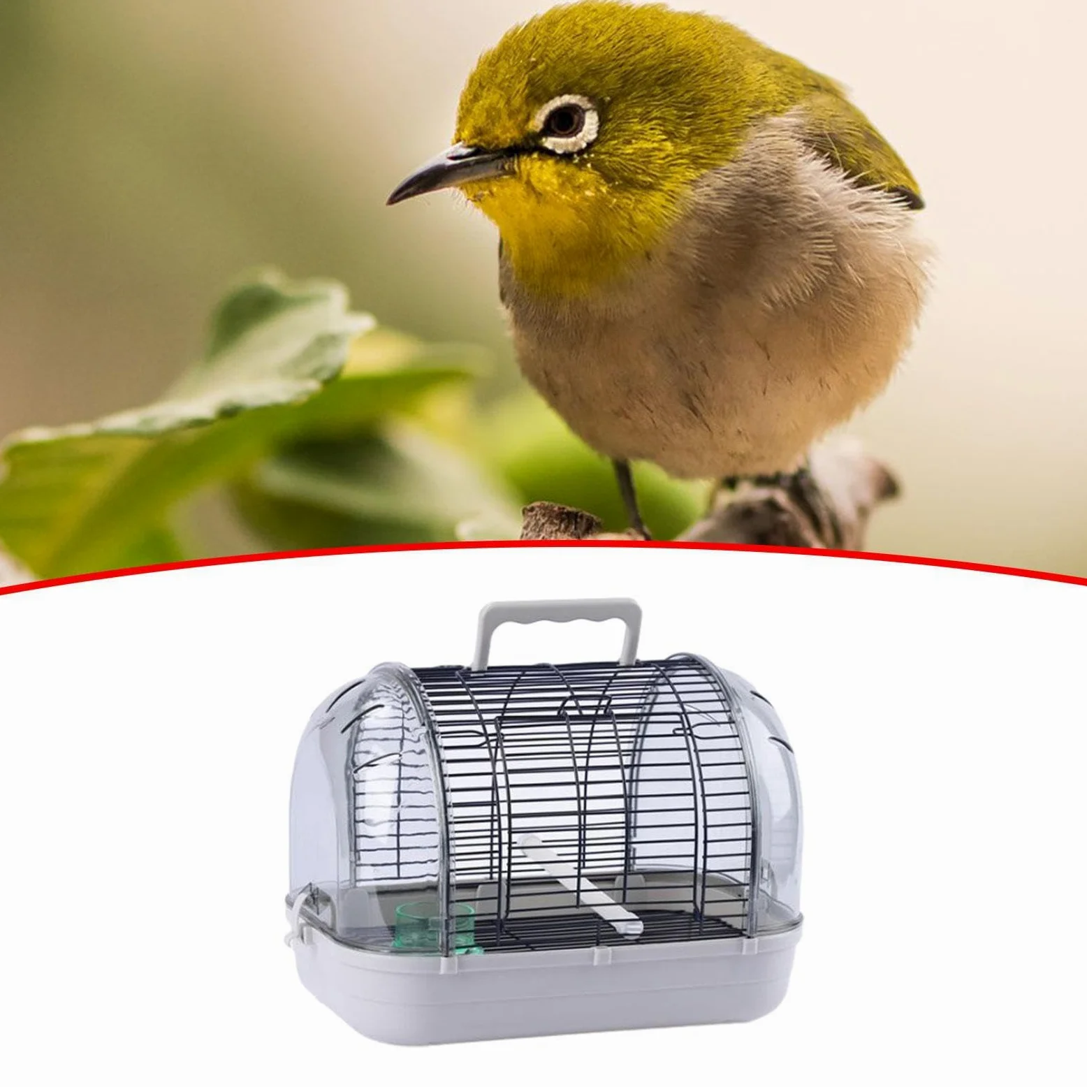 Fenteer Transportador de Aves para Loros Y Periquitos, Diseño Práctico, L Gray