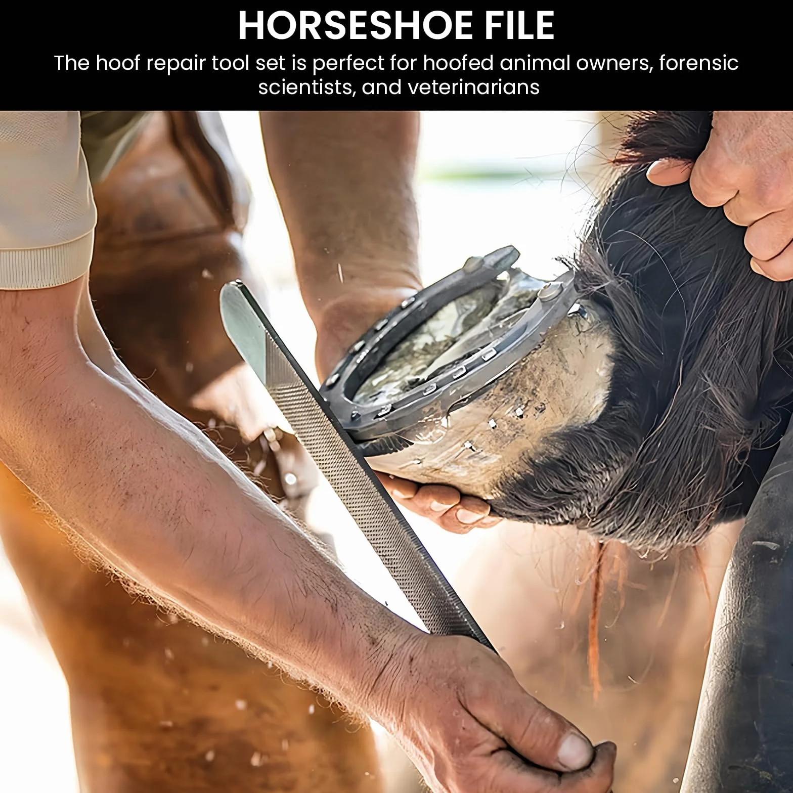Lima De Herradura,8 Pulgadas 200MM Lima Para Pezuñas De Caballo Con Mango,Cuchillo Para El Cuidado De Las Pezuñas,Escofina Para Pezuñas,Escofina Profesional Para Lima De Caballos Para Vaca,Caballos