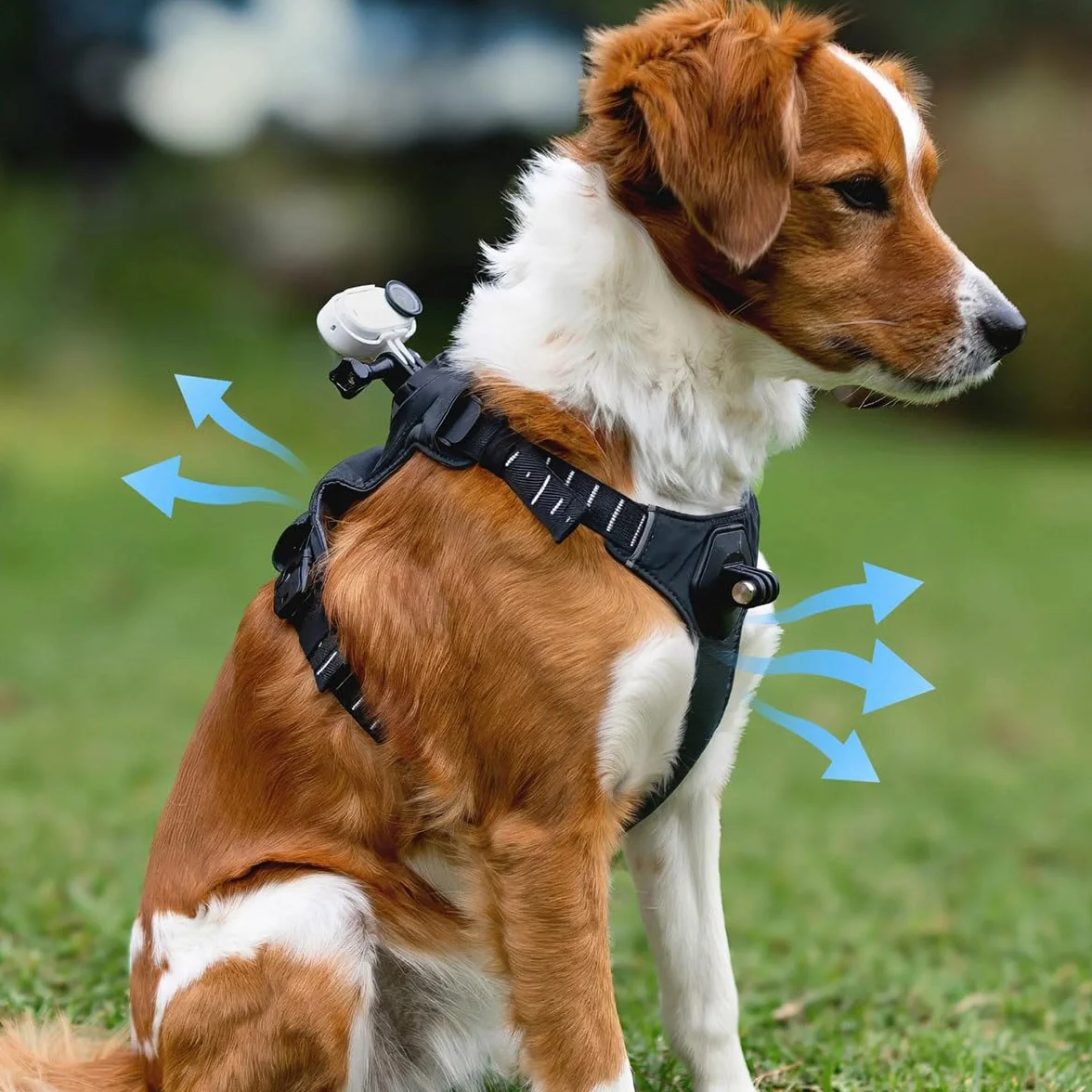 Insta360 GO 3/GO 3S - Soporte de arnés para mascotas, talla S (GO Ultra)