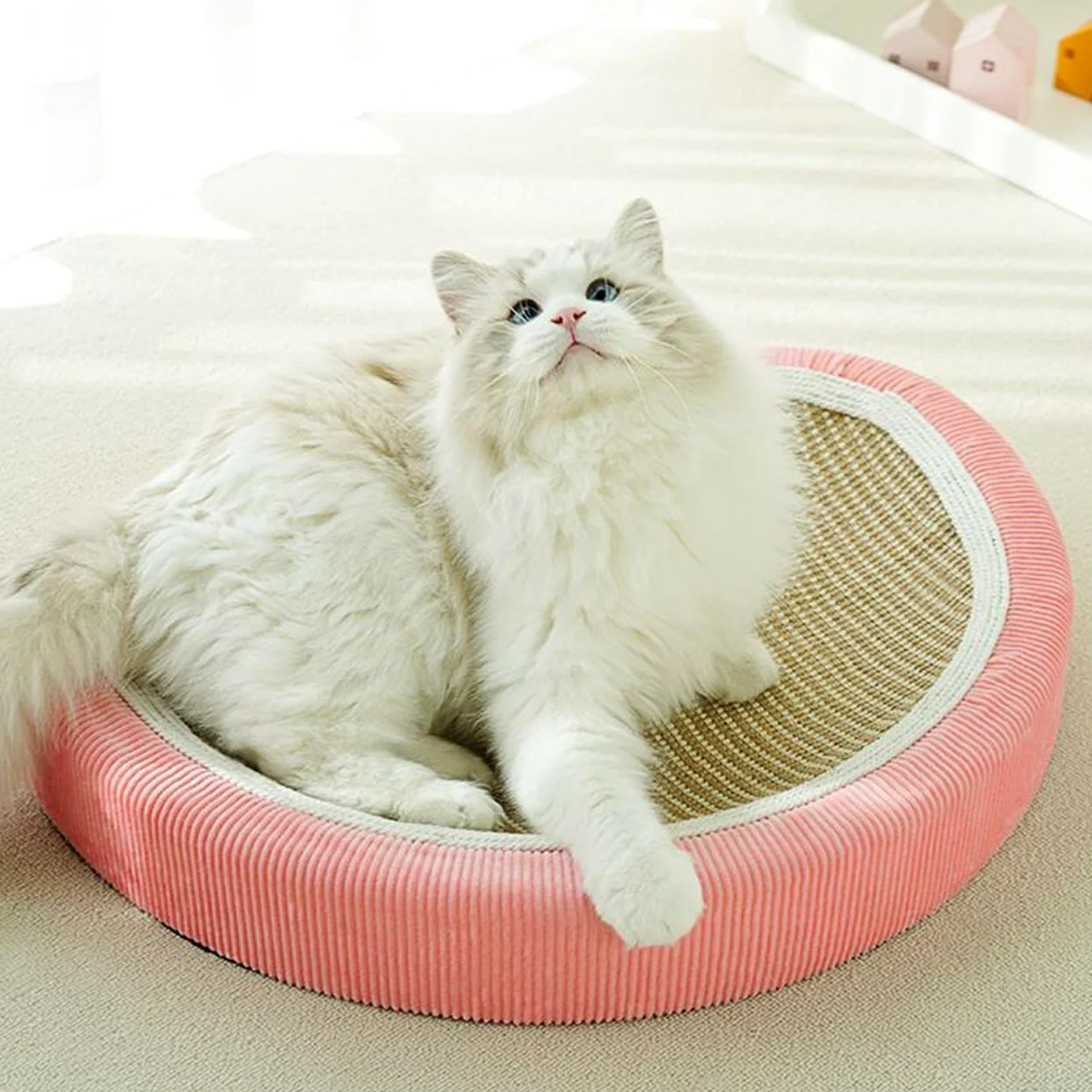 Cama Rascador de Gatos Cojín Protector Muebles Colchoneta | Cama Rascador Sisal Fresa Interior Sofá Pared Alfombra Suelo Silla Puerta Gatito Perro Pequeño Apartamento