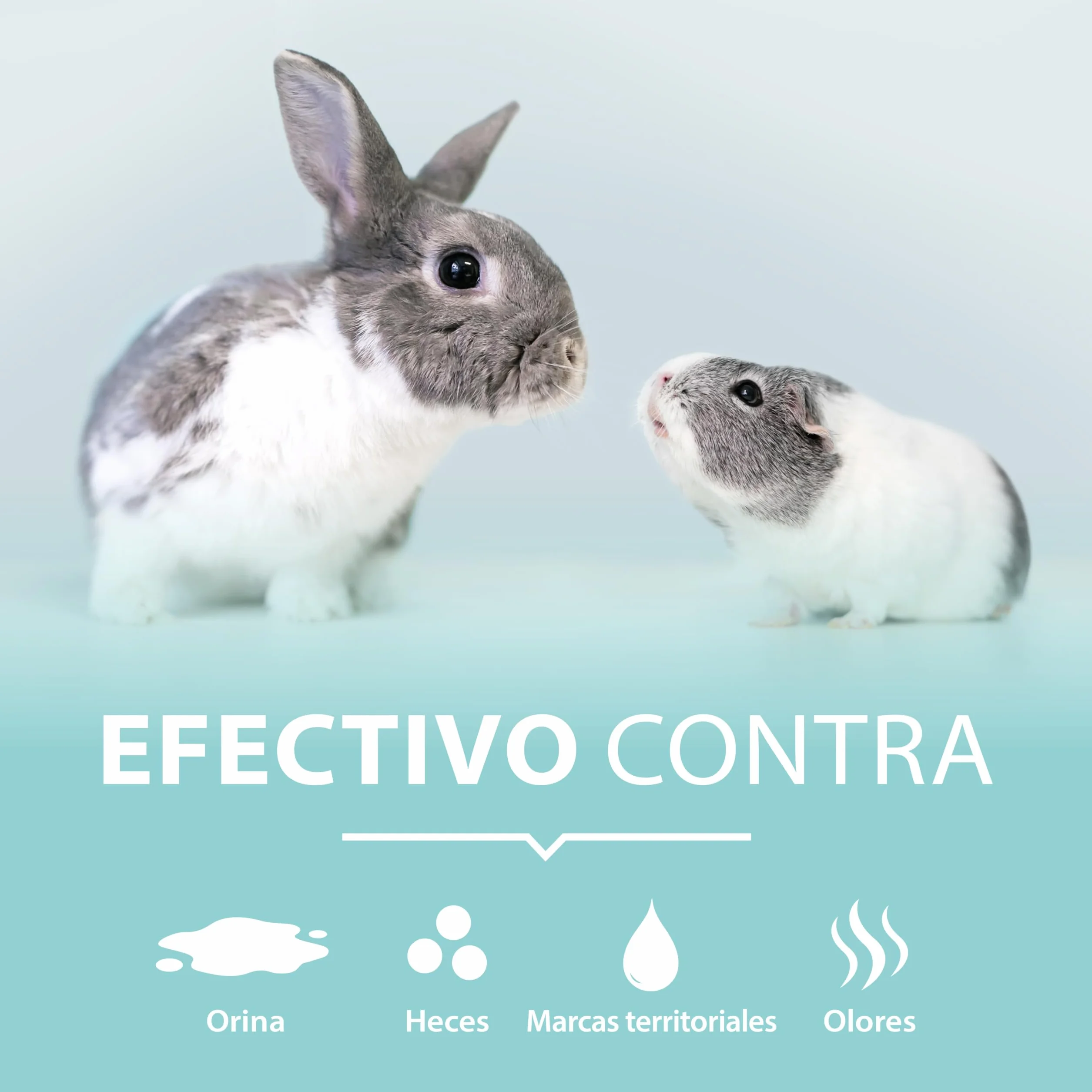 Limpiador jaulas roedores 750 ml – Spray enzimático Pipi-Stop de ARKA – Elimina orina, heces y olores de Animales – biológico, Seguro y eficaz – Ideal para jaulas, Suelos, Esquinas y casetas