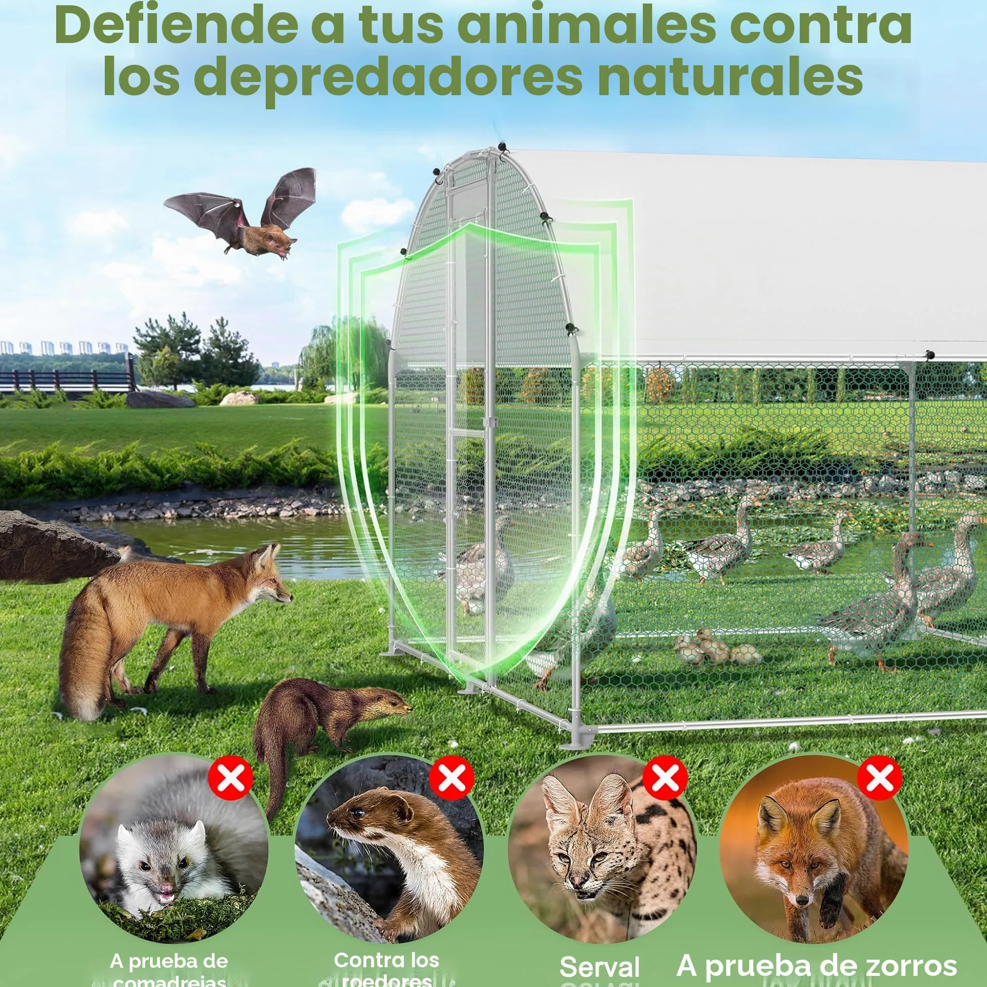 Jaula para gallinas y gallinero, de metal galvanizado, 3 x 8 m, resistente al invierno, con techo solar y cerradura, para animales pequeños y aves de corral