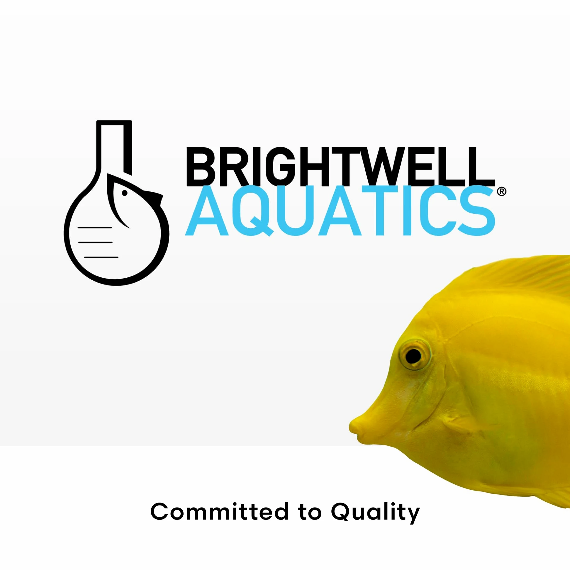 Brightwell Aquatics Phosphat-E - Eliminador de fosfato líquido para acuario de peces marinos y arrecifes, 4 l