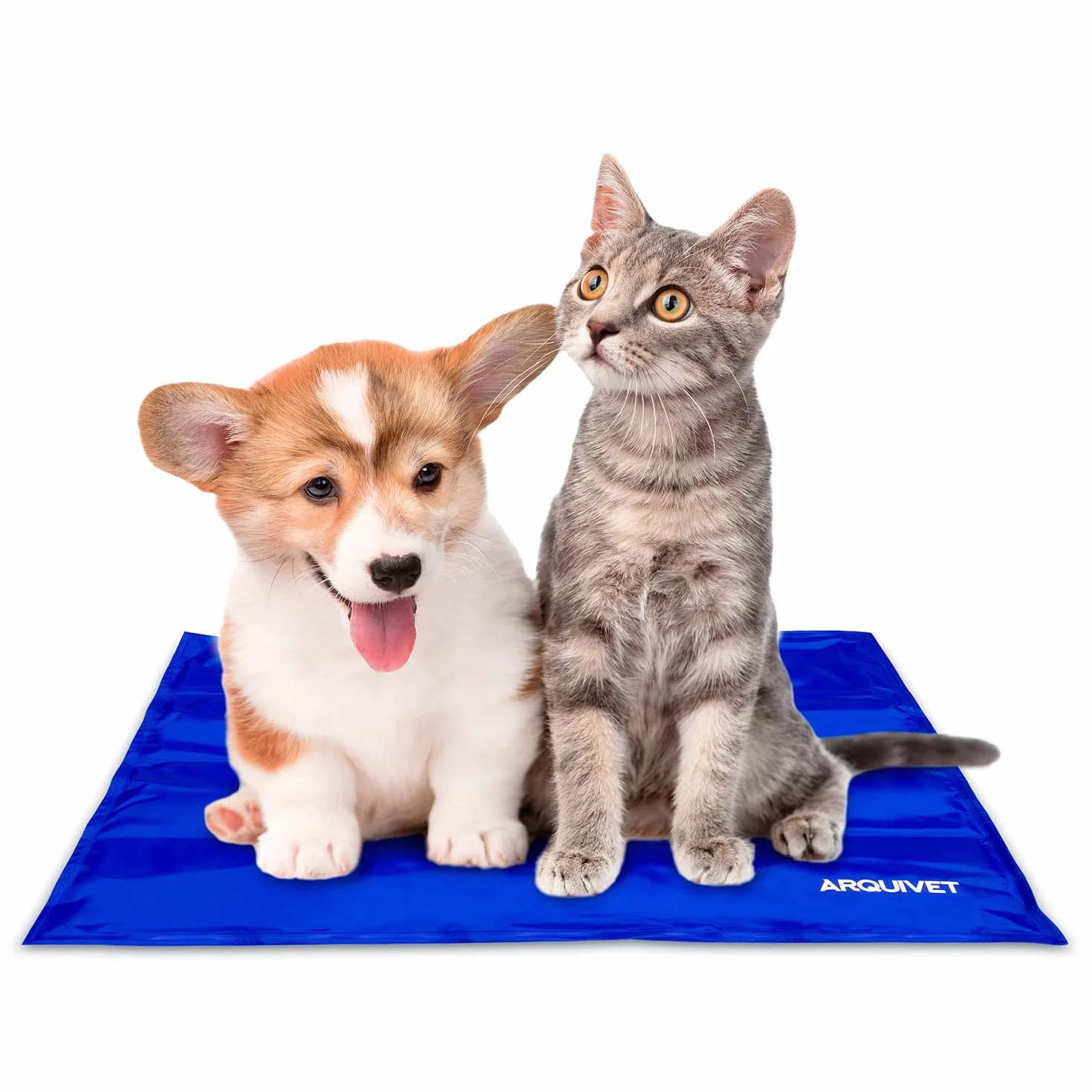 Arquivet - Alfombra refrescante para Perros y Gatos 40x50, alfombrar Pet Cooling Mat, azul