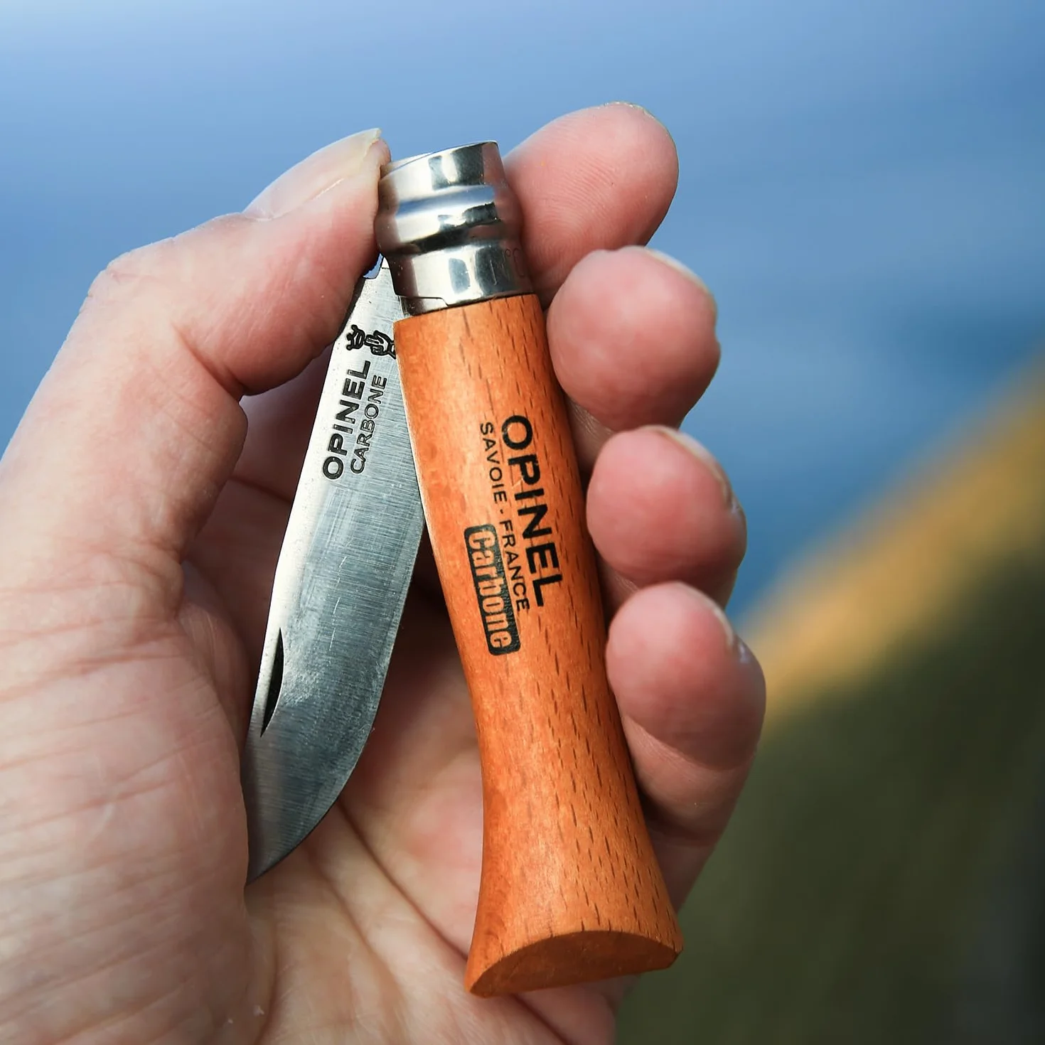 OPINEL Cuchillo n.º 6 Acero al Carbono XC90 Hoja 8,5 cm Mango de Haya Virobloc