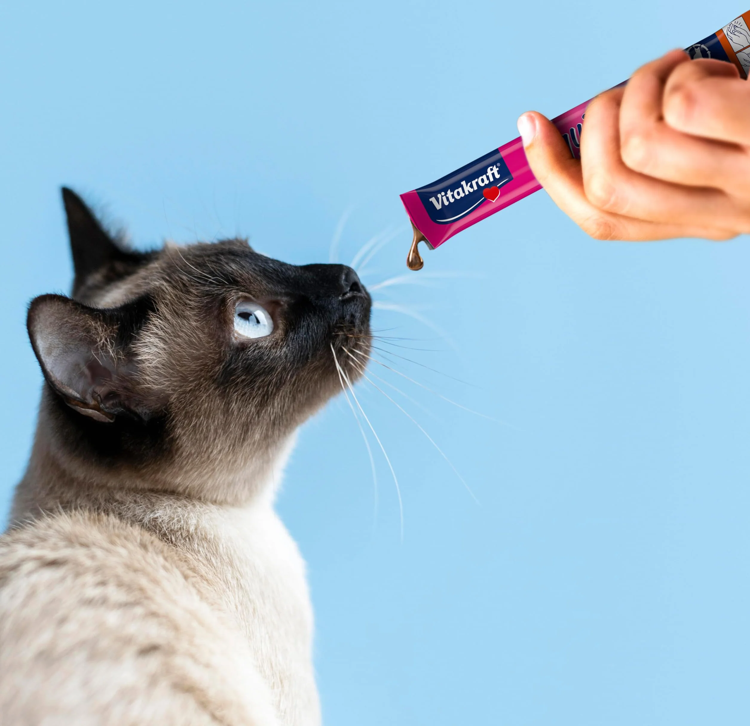 Vitakraft Liquid Snack Cremoso para Gatos con Salmón y Omega 3, Bolsitas Individuales, 6x15g