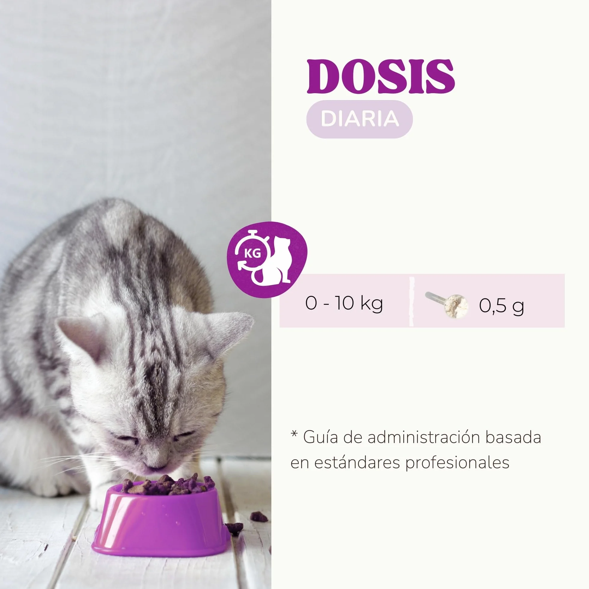 Lisina Gatos con Aminoácidos Esenciales para Reforzar el Sistema Inmunitario, Apoyar Las Vías Respiratorias y Prevenir el Herpes Felino, Suplemento Natural para Todas Las Razas y Edades