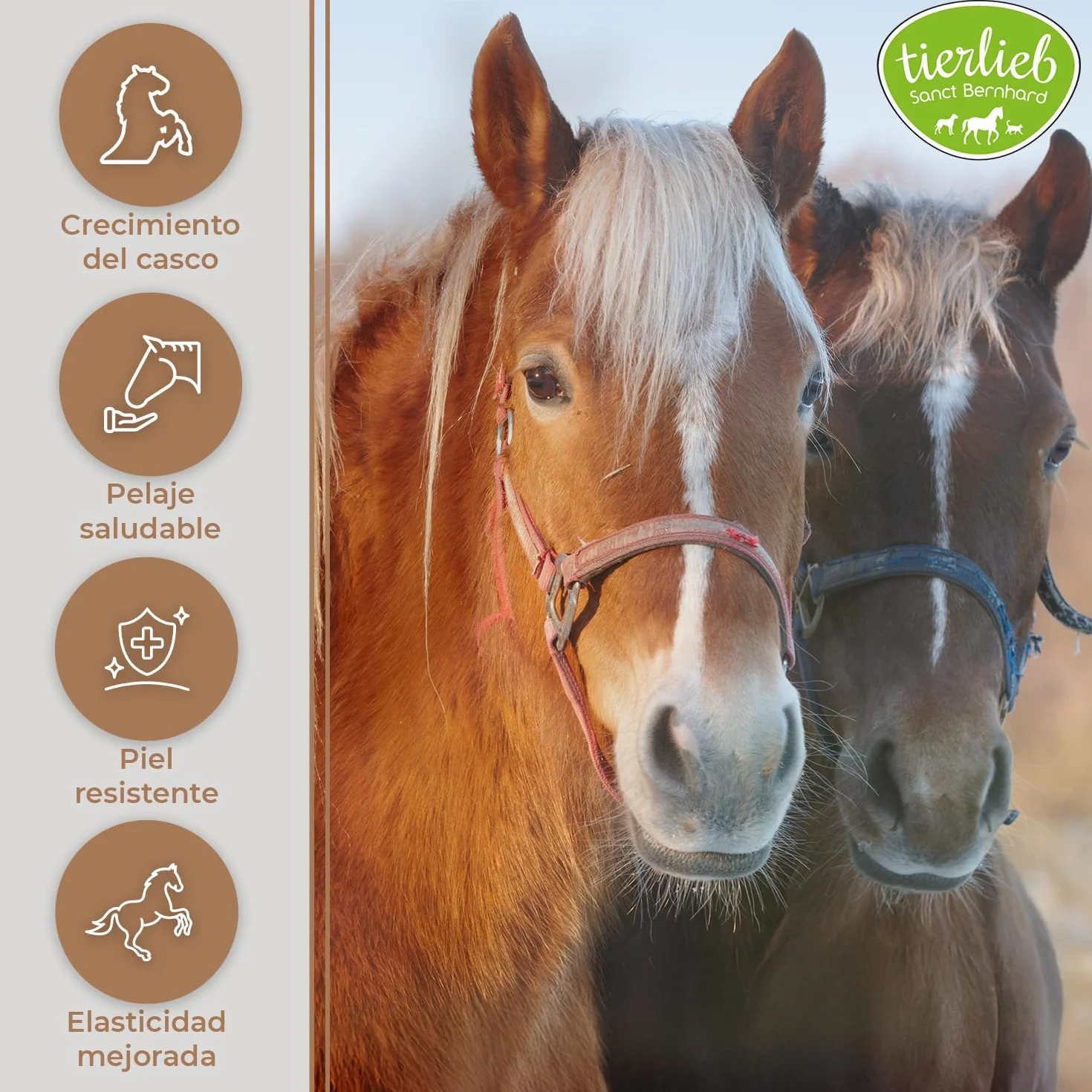 Biotina para Caballos – Pastillas para Cascos Fuertes y Flexibles, Mejora de Piel y Pelaje, Vitamina B8 para Equinos – 50 Días, Fácil Dosificación