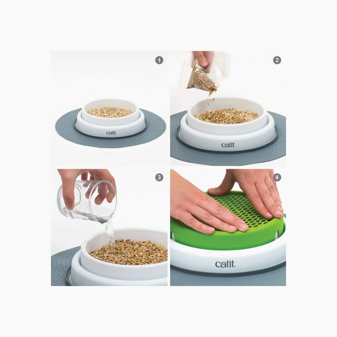 Cat Grass kit - 3 x Semillas y Vermiculita