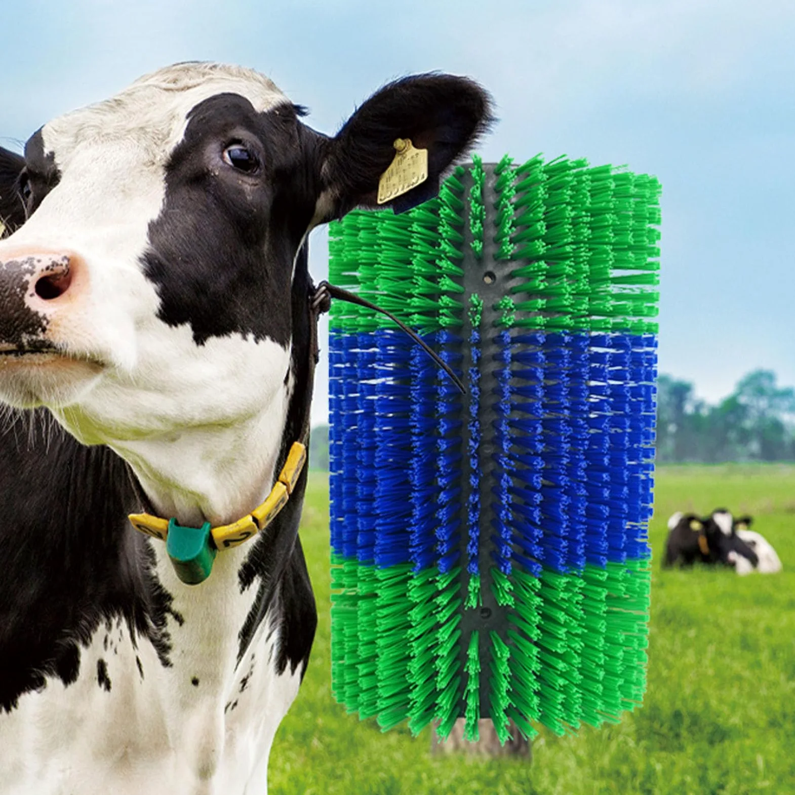 Cepillo para rascar ganado, cepillo para caballos con 6 tornillos, cepillo para rascar universal, poste para rascar vacas, cerdas de poliamida duraderas grandes