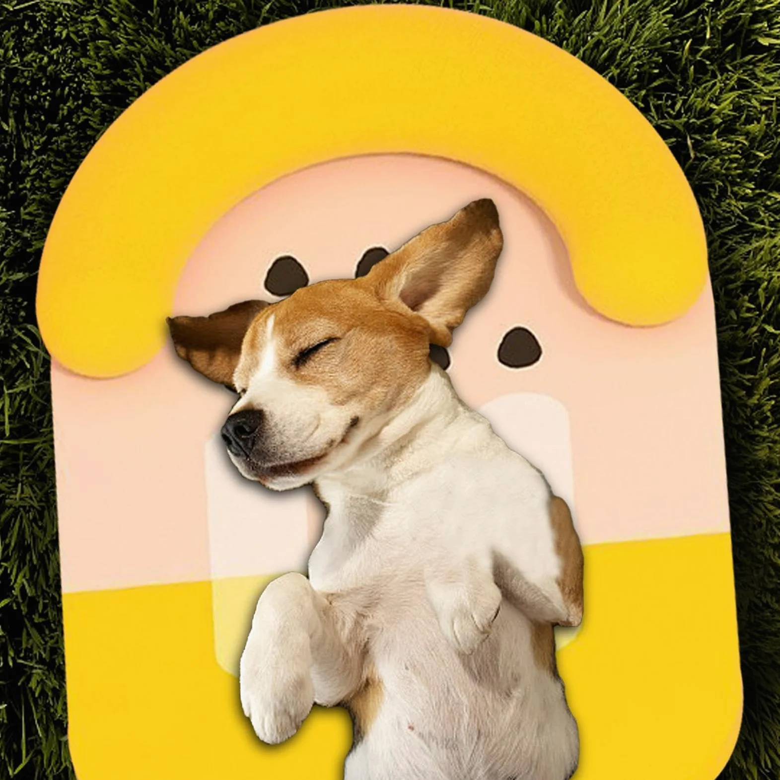 Alfombrilla de refrigeración para mascotas, con forma de paleta colorida | Cama impermeable para perro, manta de refrigeración cómoda y transpirable con almohada para el hogar, criadero