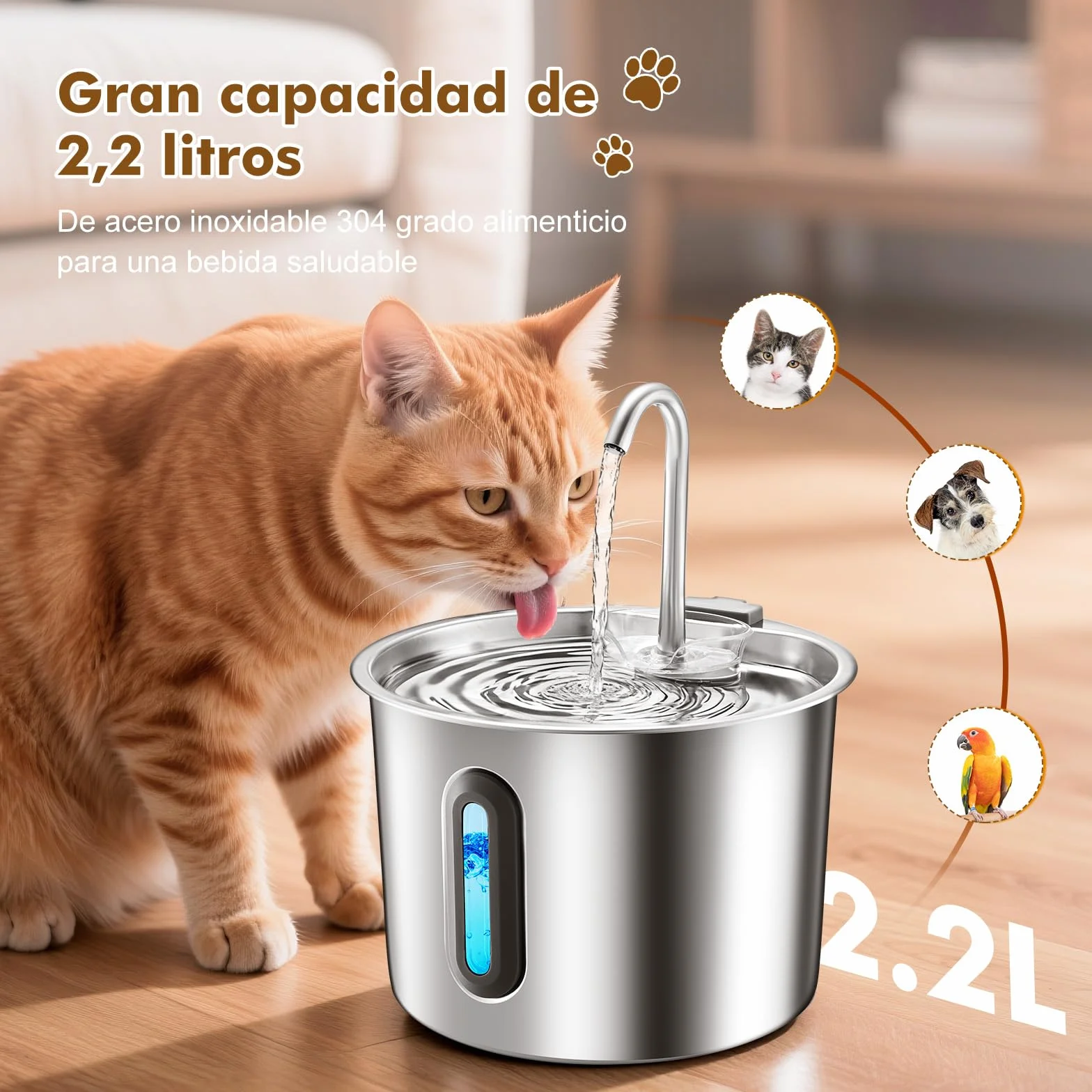 Fuente para Gatos Acero Inoxidable 2,2 L – Rever E101 Fuente de Agua para Gato con Ventana Visible y Bomba Ultra-silenciosa, Sistema de Multi-filtración, Bebedero Gatos y Animales Pequeños (Plata)