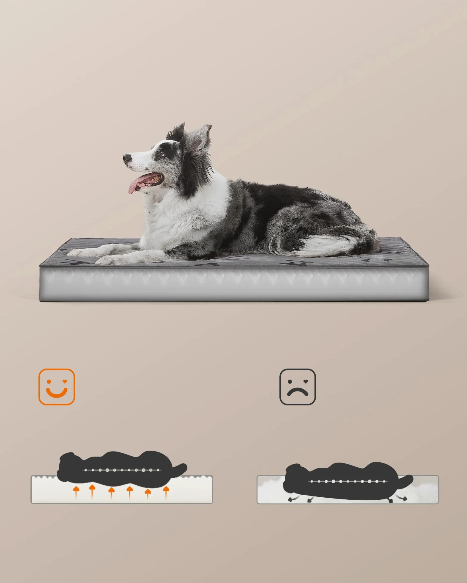 Feandrea Cama para Perros, Cama para Mascotas, Espuma Corrugada Preformada, con Asa, Extraíble, Doble Cara, Impermeable, Talla XL, 105 x 73 x 10 cm, Gris Paloma PGW243G01