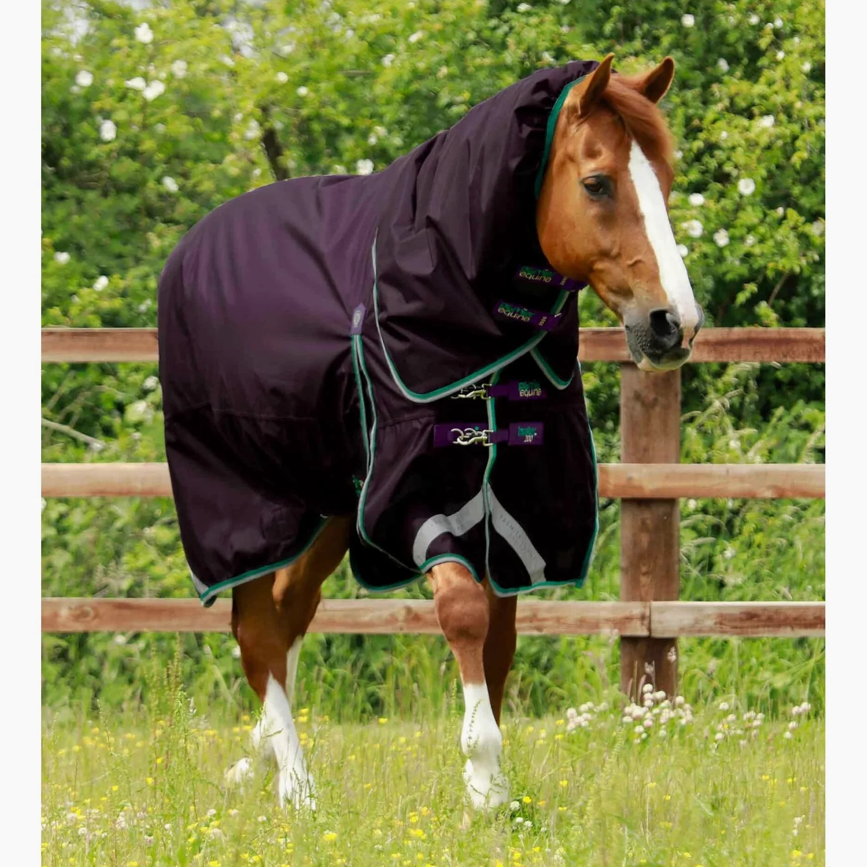 Premier Equine Cubierta exterior impermeable para caballo con cubierta de cuello Buster 200 g