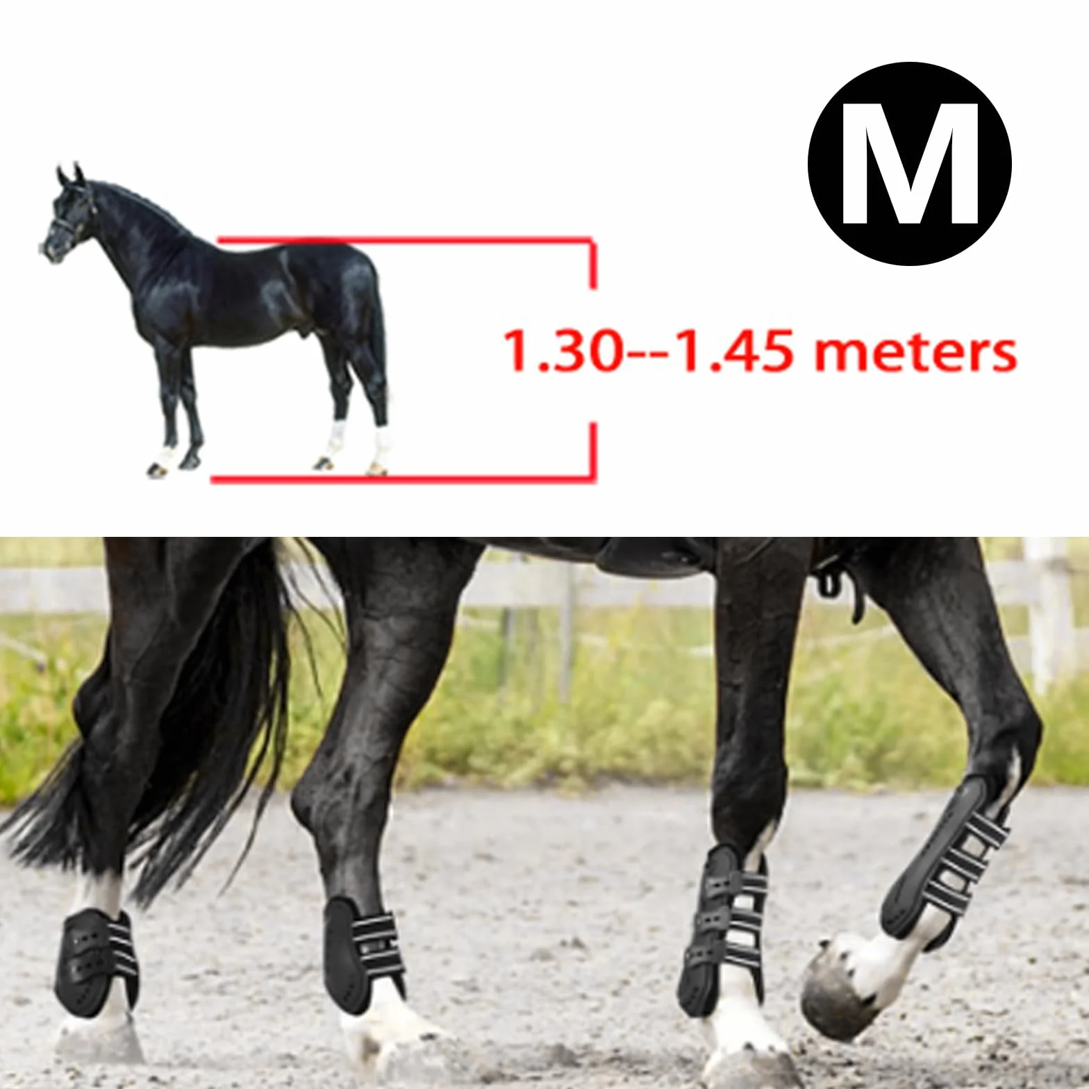 Botas de Caballo, 4 Piezas Protectores de Piernas Delanteras para Caballos, Guardabarros para Entrepierna, Protectores de Piernas Ajustables, Envolturas Protectoras para Patas de Caballo, M