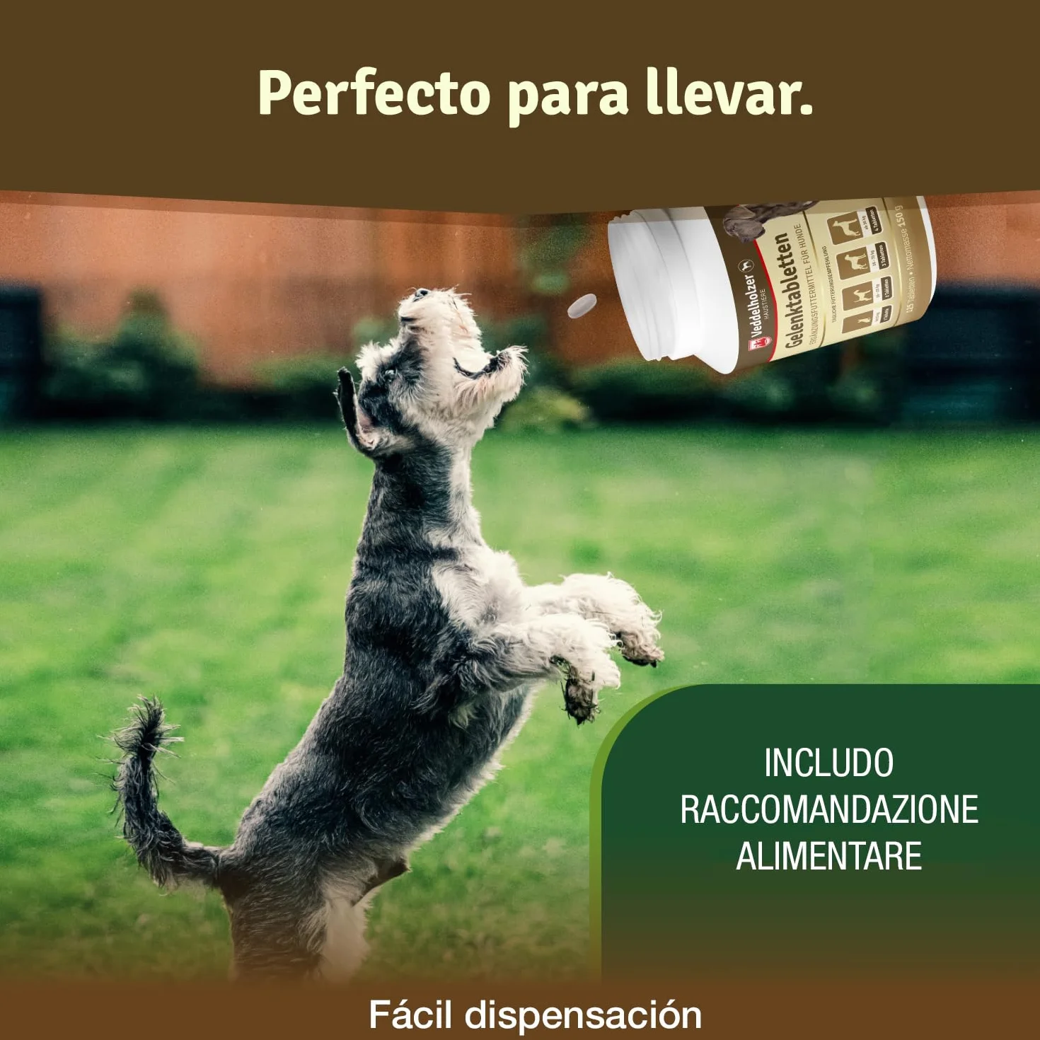 Veddelholzer condroprotector glucosamina MSM colágeno hialurón 125 cápsulas perros articulaciones
