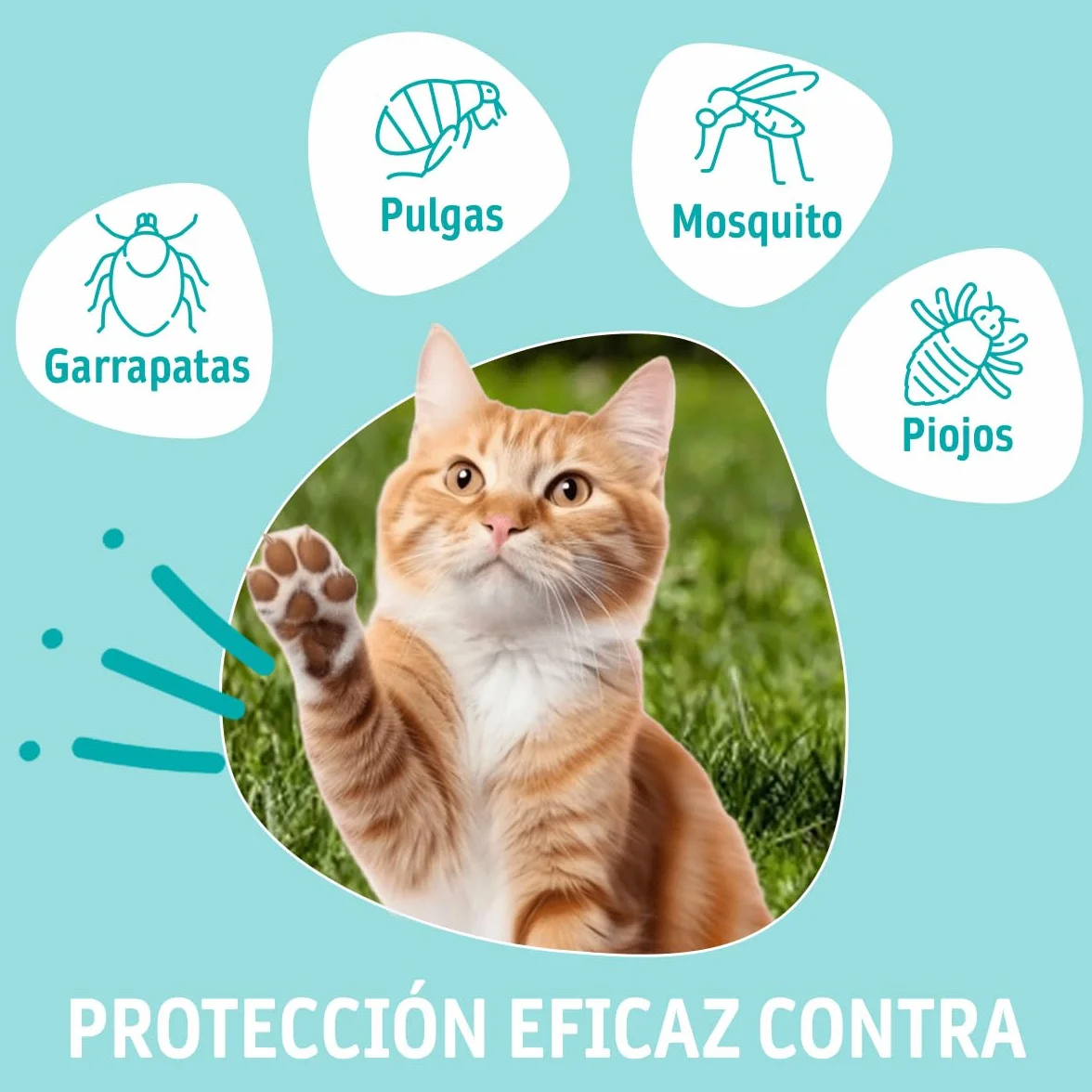 DIXIE - Pipetas Repelentes Gatos - 4 uds x 1 ml - Pipetas Repelentes - 4 Meses de Protección - contra Piojos, Mosquitos, Pulgas y Garrapatas - sin Insecticidas - Todos los Tamaños de Gatos