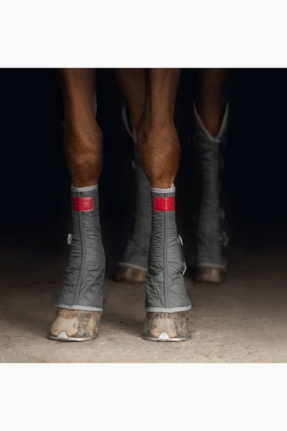 Equilibrium - Vendas para Caballos Hind & Hock Diseño Magnético (XL) (Gris)