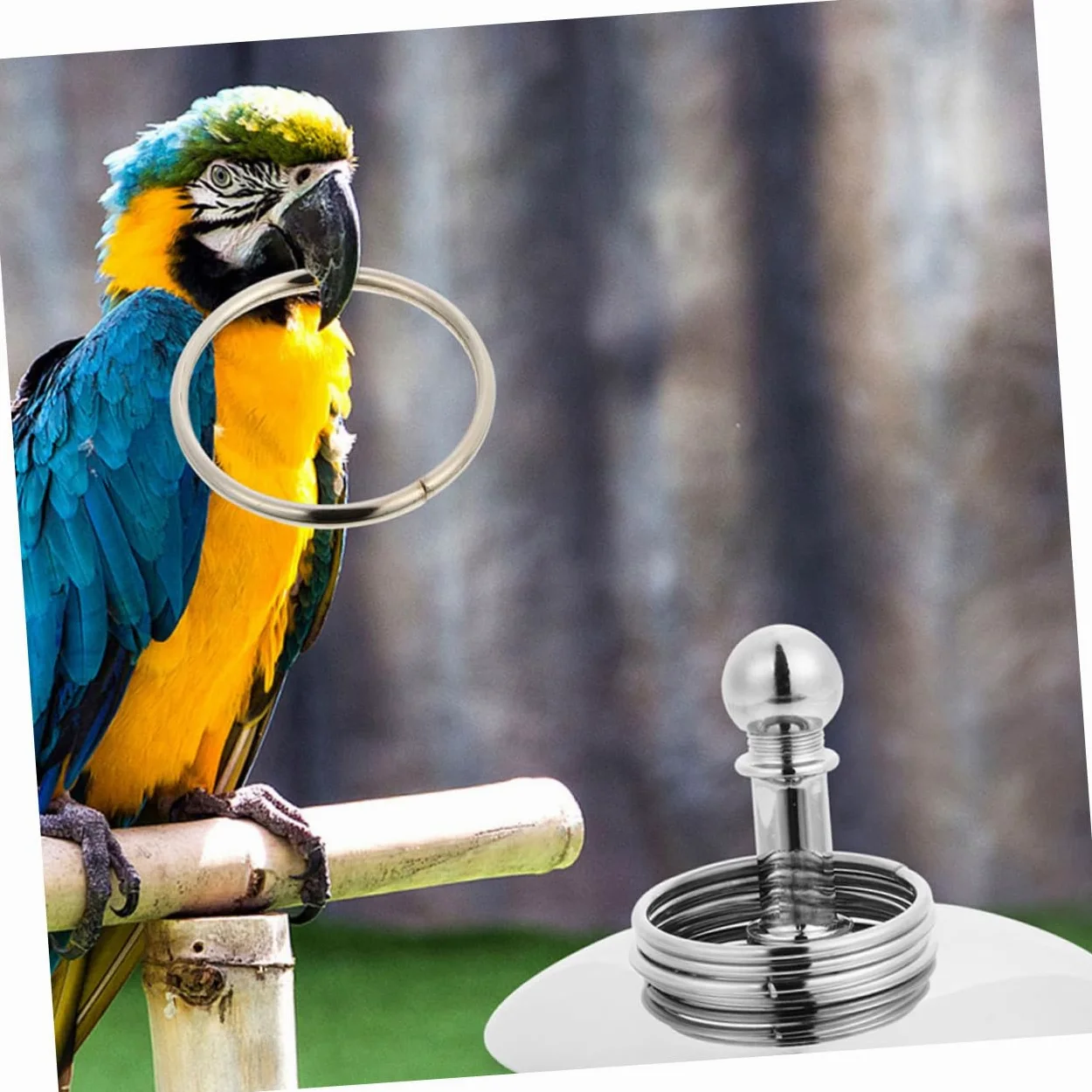 BESPORTBLE 4juegos Juguete De Entrenamiento para Loros Bicicleta y Anillos De Inteligencia Juguete Educativo para Aves Interacción y Actividad Física para Ninfas y Agapornis