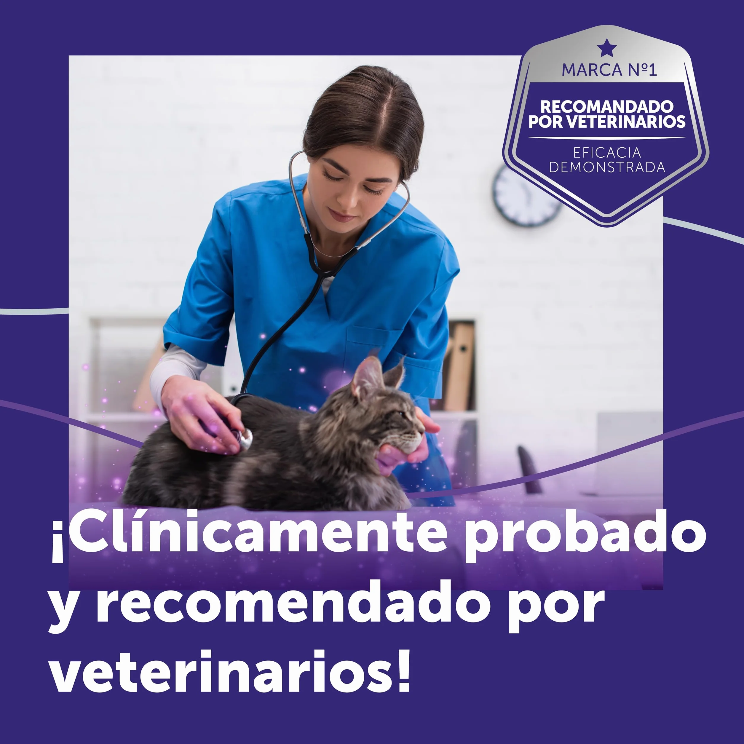 FELIWAY Optimum - Difusor + Recambio de feromonas calmantes para gatos (30 días, 48 mililitro) - Ayuda a reducir los signos más comunes de estrés. Recomendado por veterinarios. La mejor tranquilidad