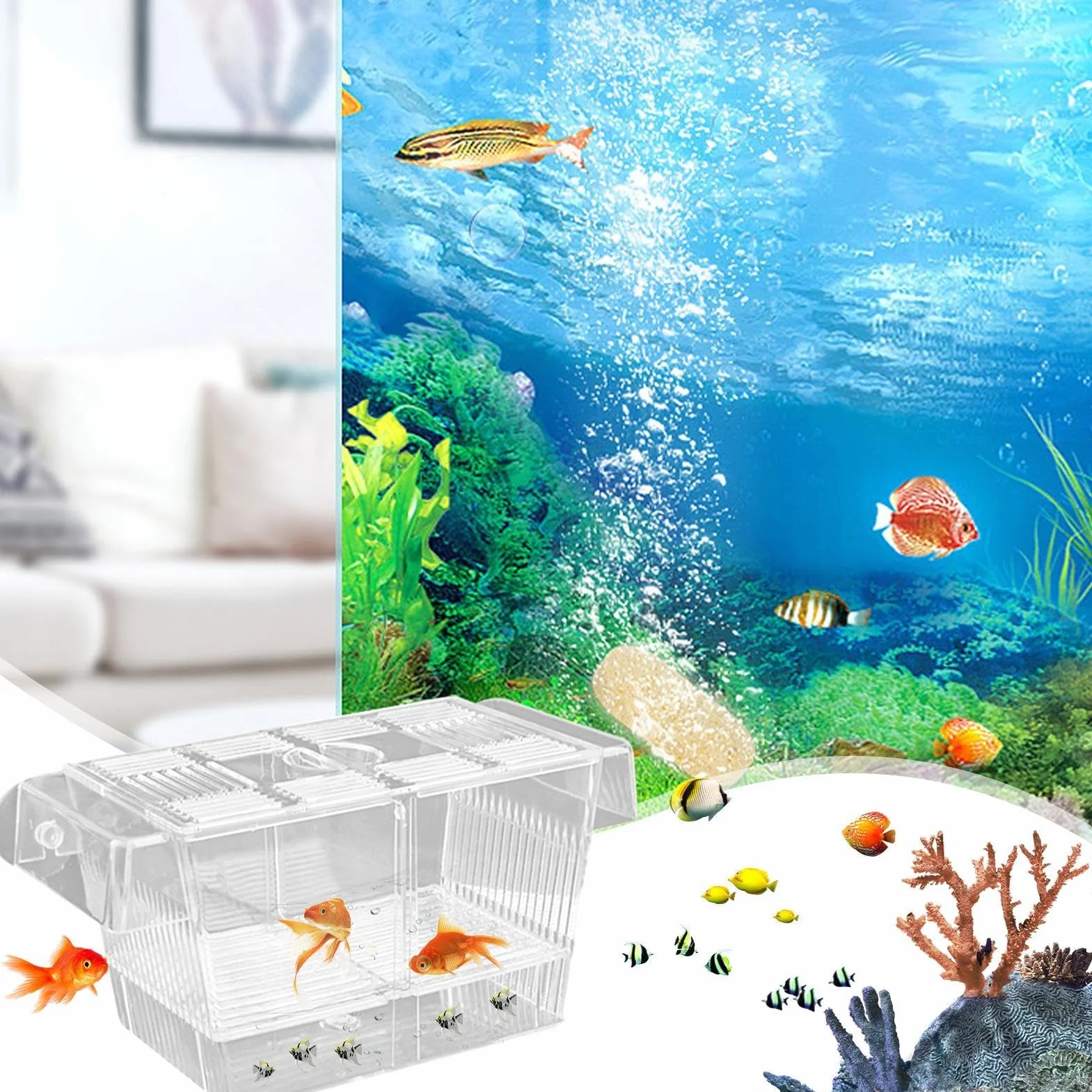 Genérico Caja De Cría De Peces, Paridera Acuario, Caja De Cría De Acrílico, Divisor De Pecera, para Camarones Betta Guppy
