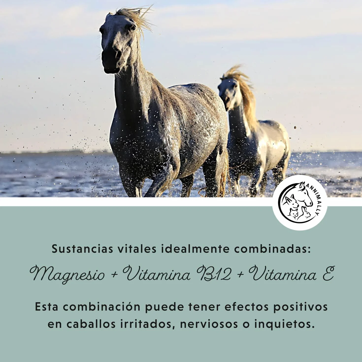 Annimally Pellets de Magnesio para Caballos 1 kg - Acetato de Magnesio y Óxido de Magnesio para una máxima biodisponibilidad