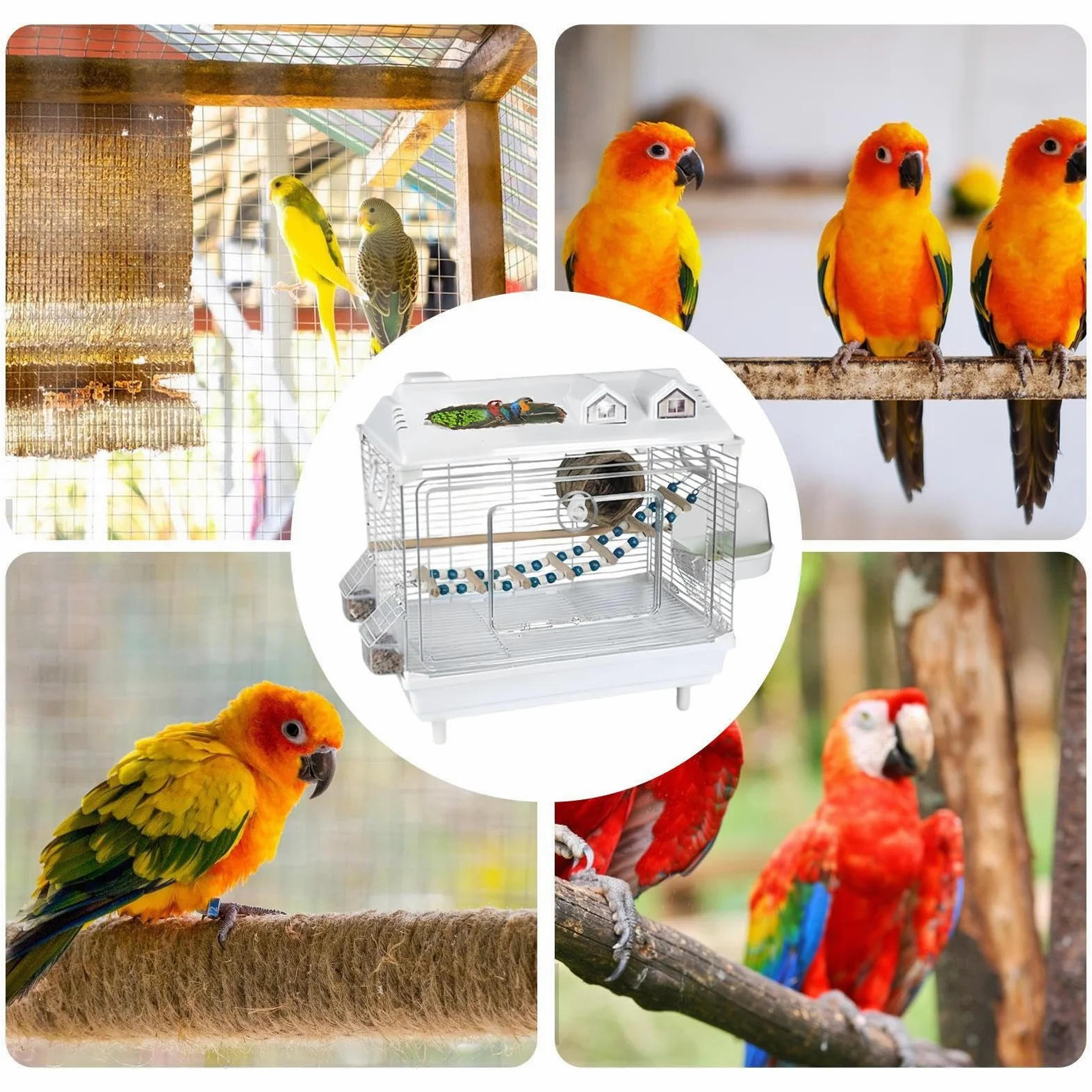 Jaula para Aves y Pájaros Hogar Portátil Transparente para Ninfas | Jaula Para Conuros Con Percha De Madera para en Interior para Cacatúas, Guacamayos, Conuros, Agapornis y Pinzones