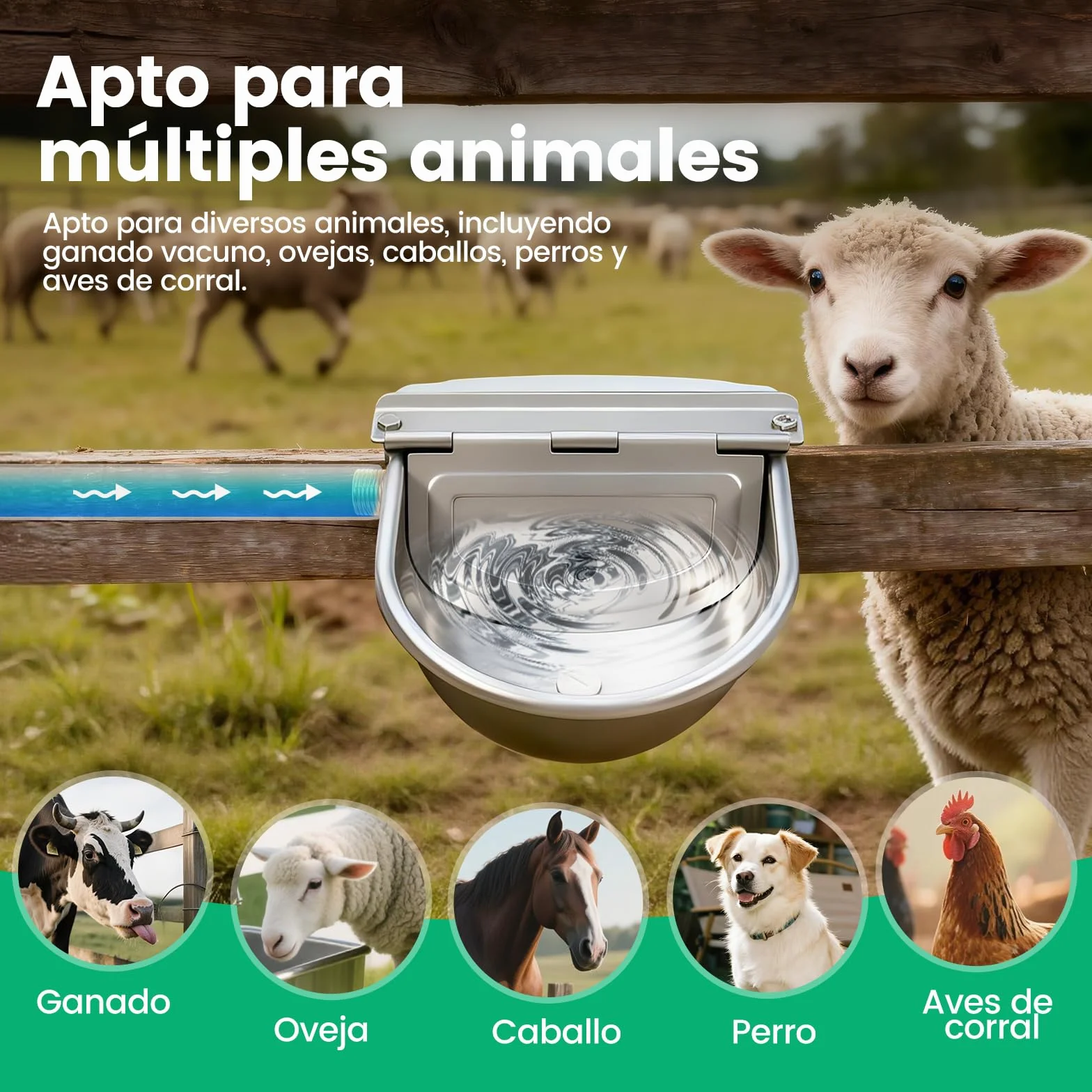 Bebedero Automatico con Valvula Flotador,Acero Inoxidable Bebedero Ganadero,Bebedero Caballos & Vacas Automatico,Bebedero para Ovejas Exterior,Bebedero Automatico para Ganado para Animales