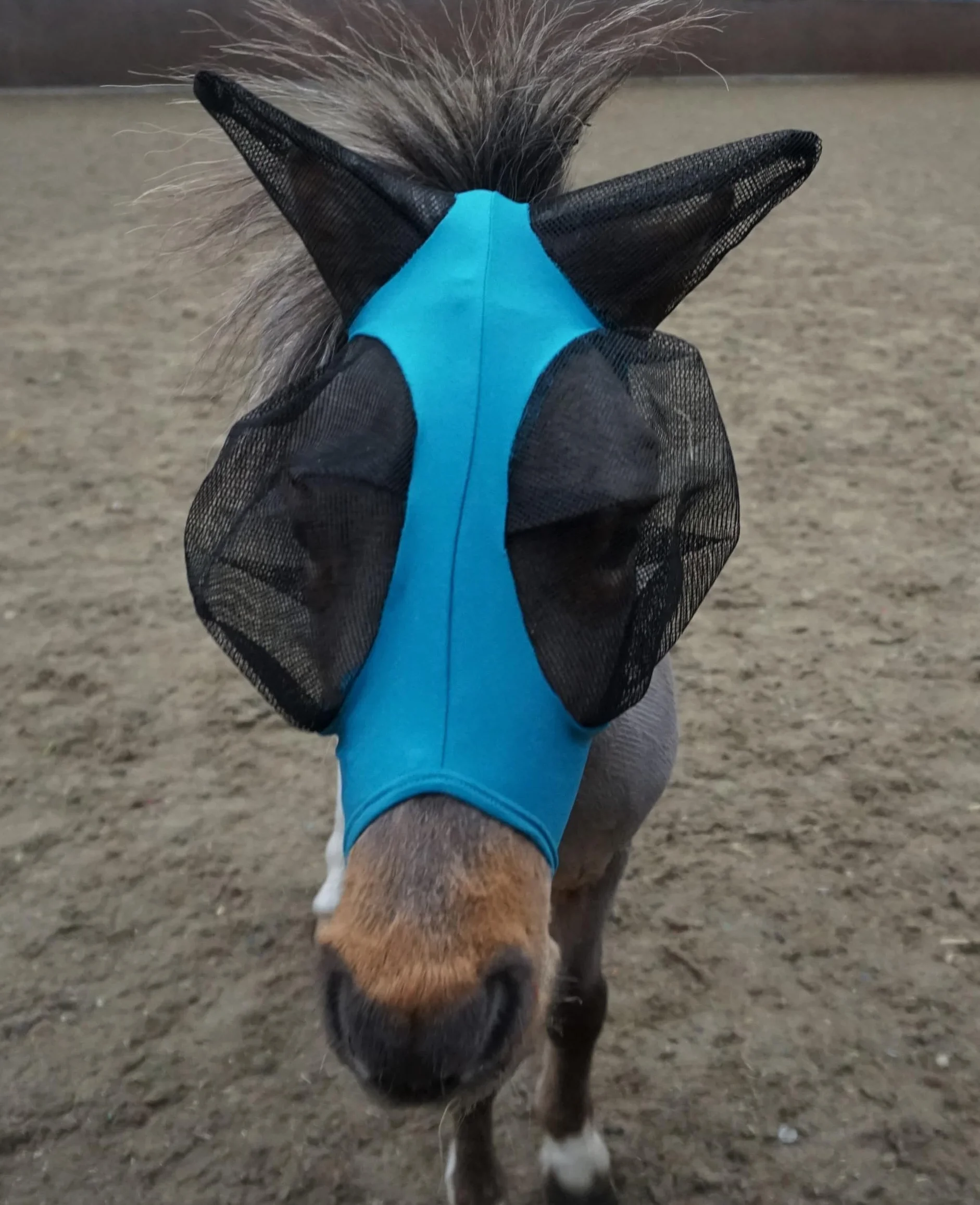 Ruggles Shetland - Máscara de mosca en miniatura con orejas, licra elástica, protección ocular de caballo y pony (aguamarina, X-Mini)