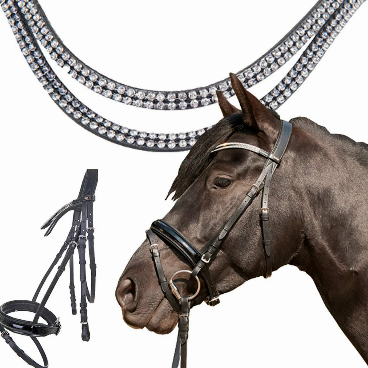 HKM Starlight Muserola Inglesa Warz Pony