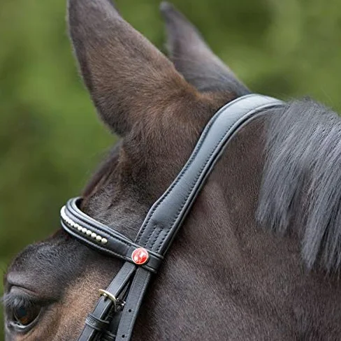 Kieffer - Dobladillo para caballo (muy suave, con perlas y nuca acolchada), color negro, Extra Warmblut